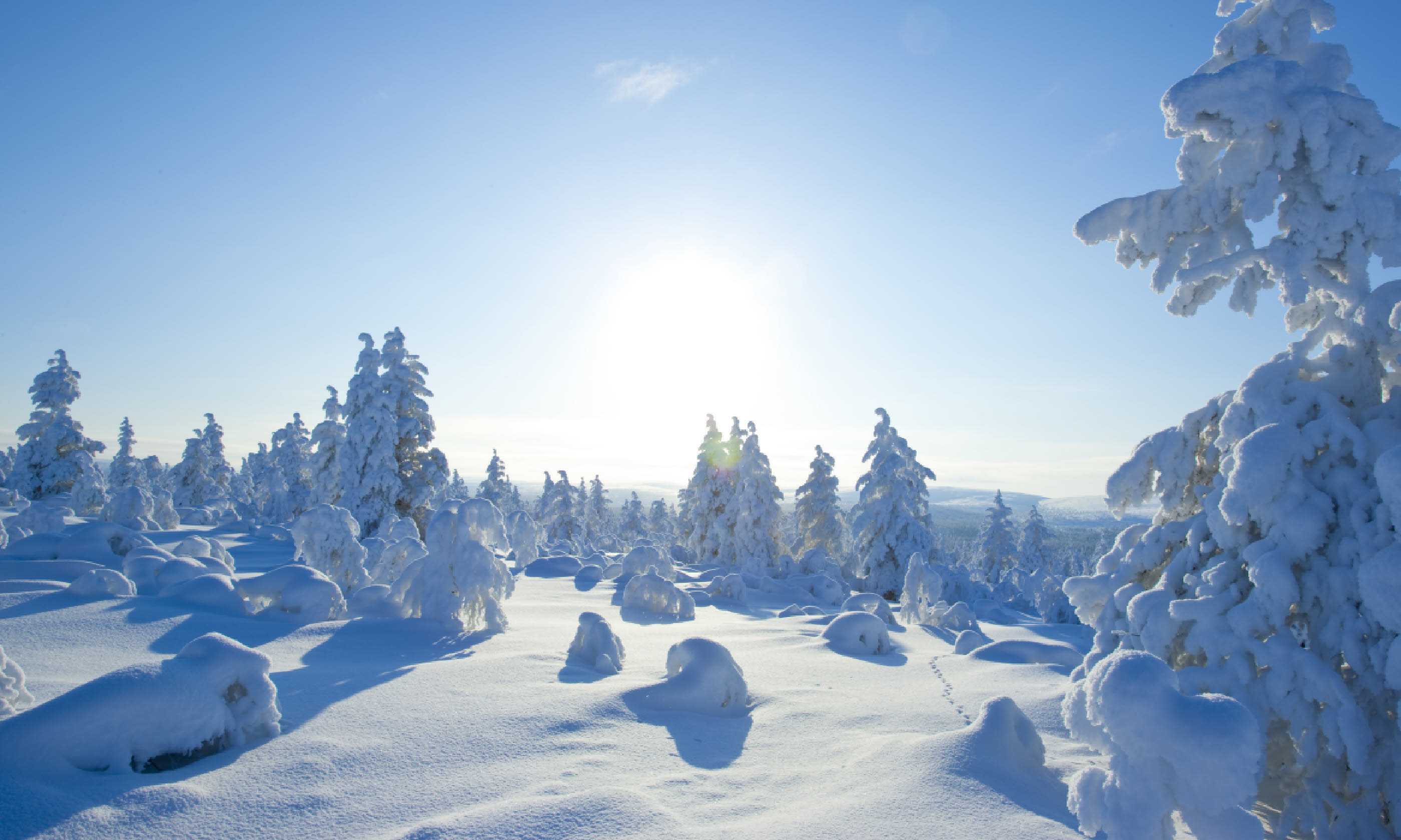 Finland, under a lot of snow (Shutterstock: see credit below)