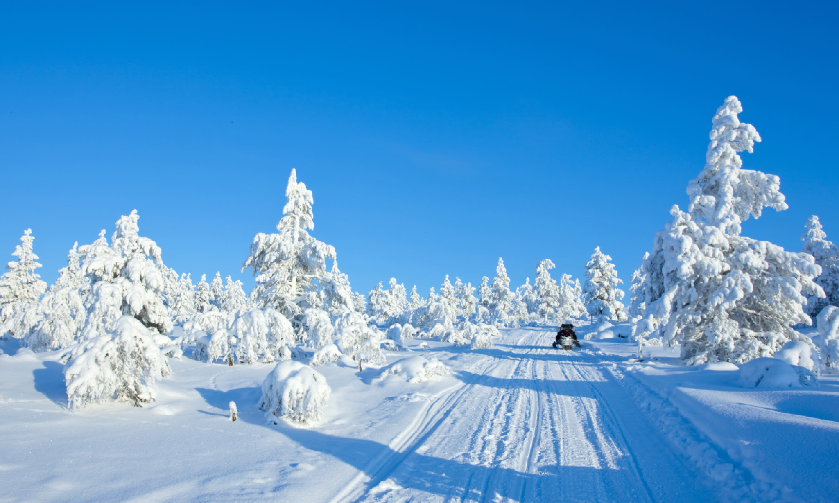 Snowmobile in Finland (Shutterstock)