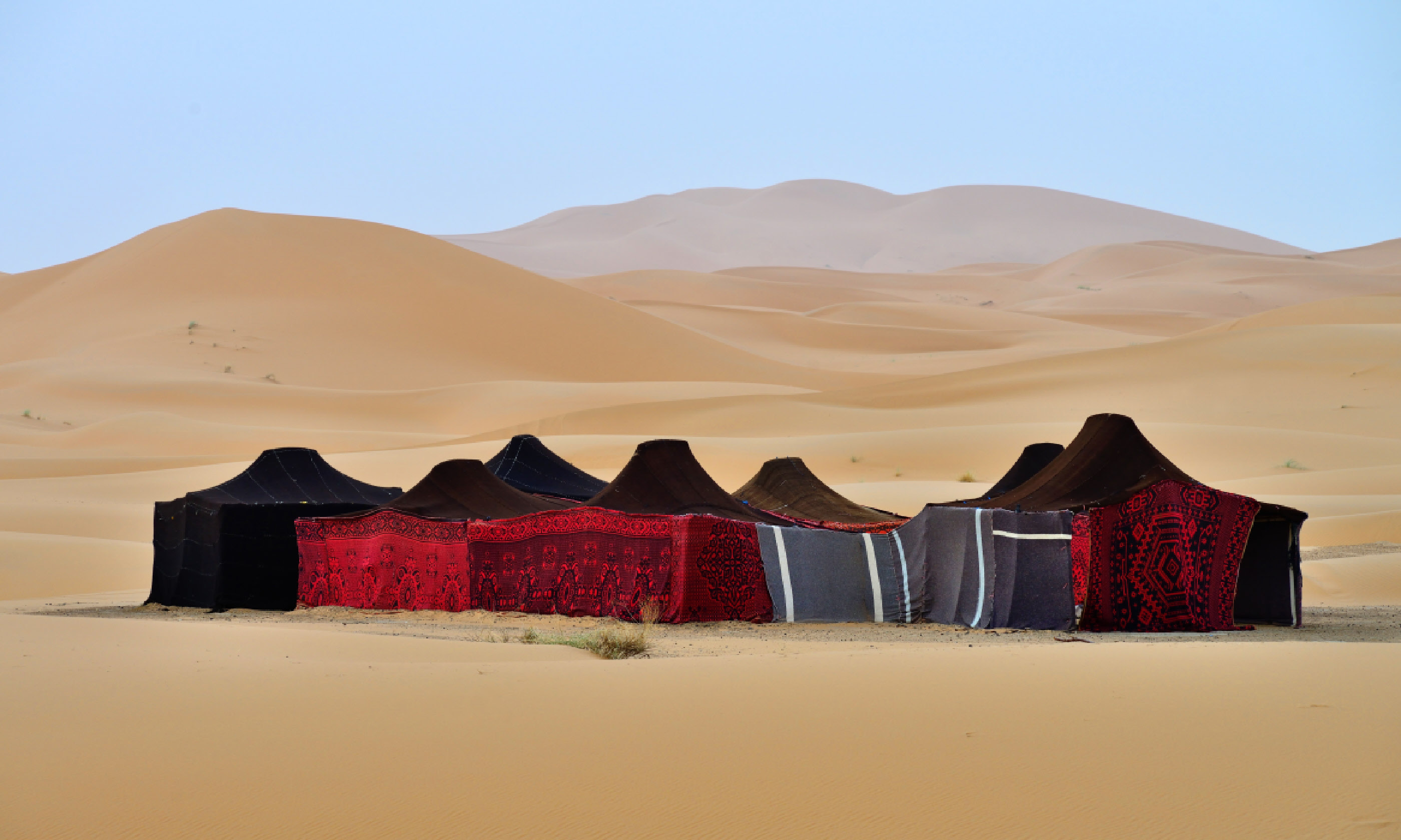 Berber tents in the Sahara, Morocco (Shutterstock)