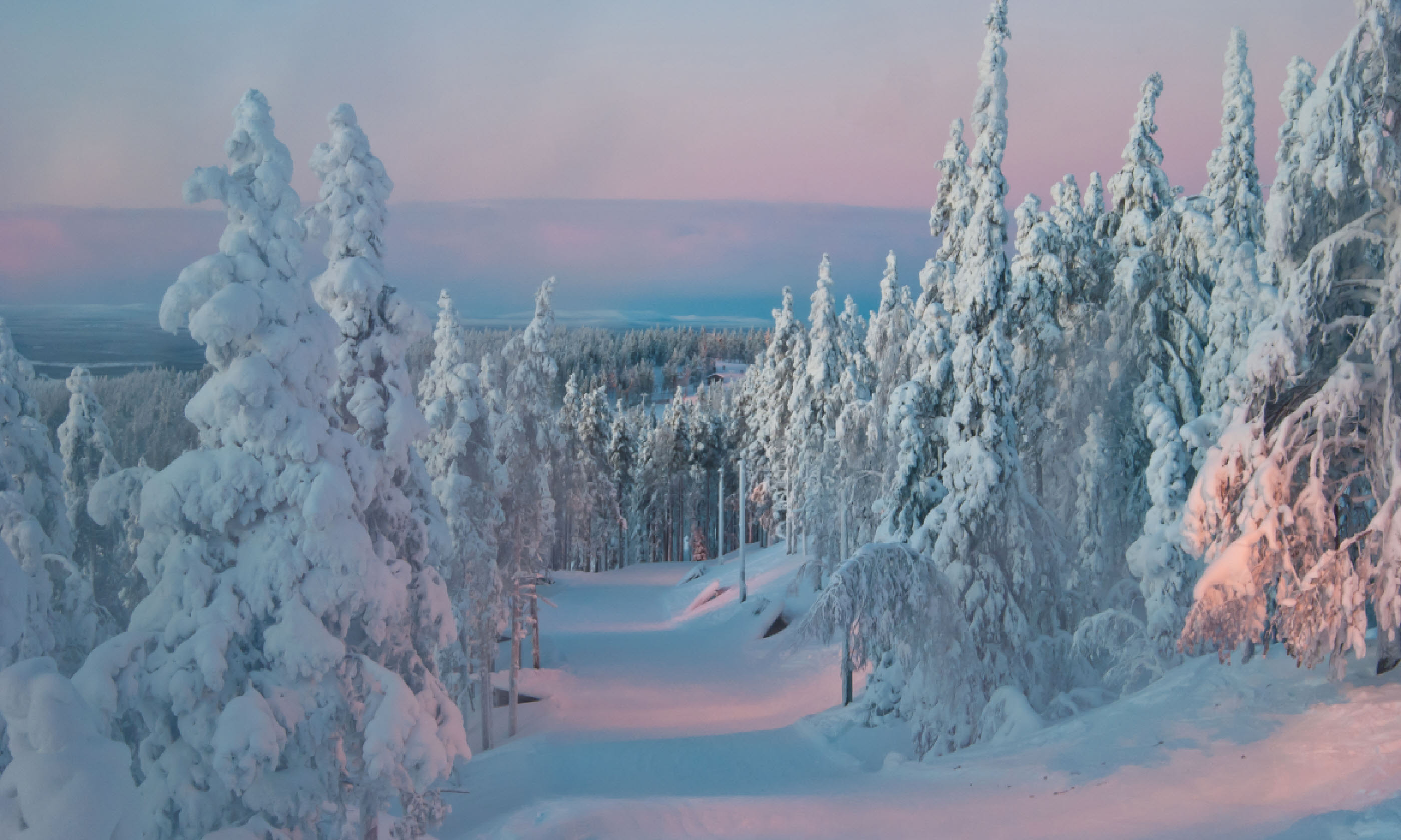 Trees at sunset in winter, Finland (Shutterstock)