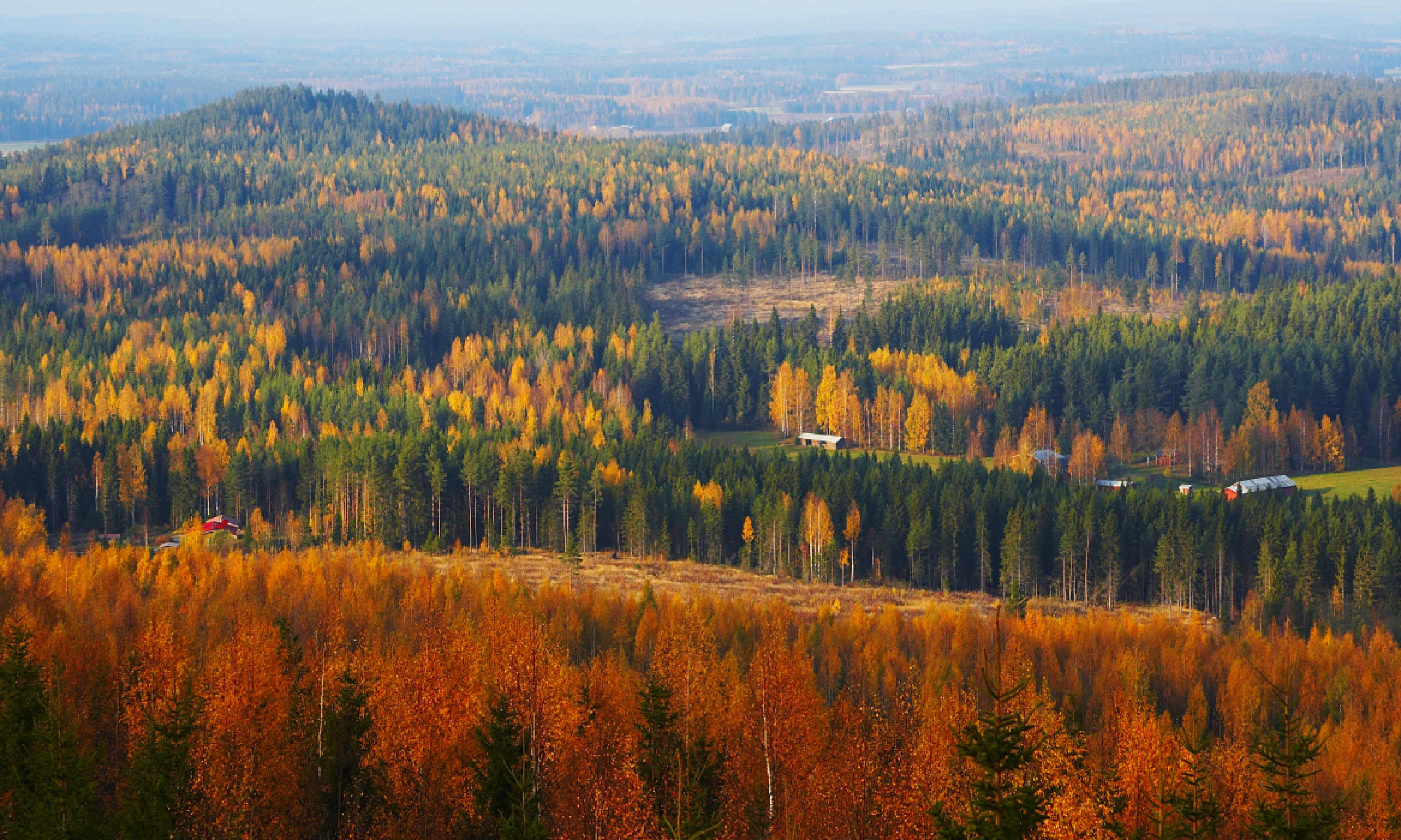 Autumn colours in Finnish Lapland (Shutterstock: see credit below)