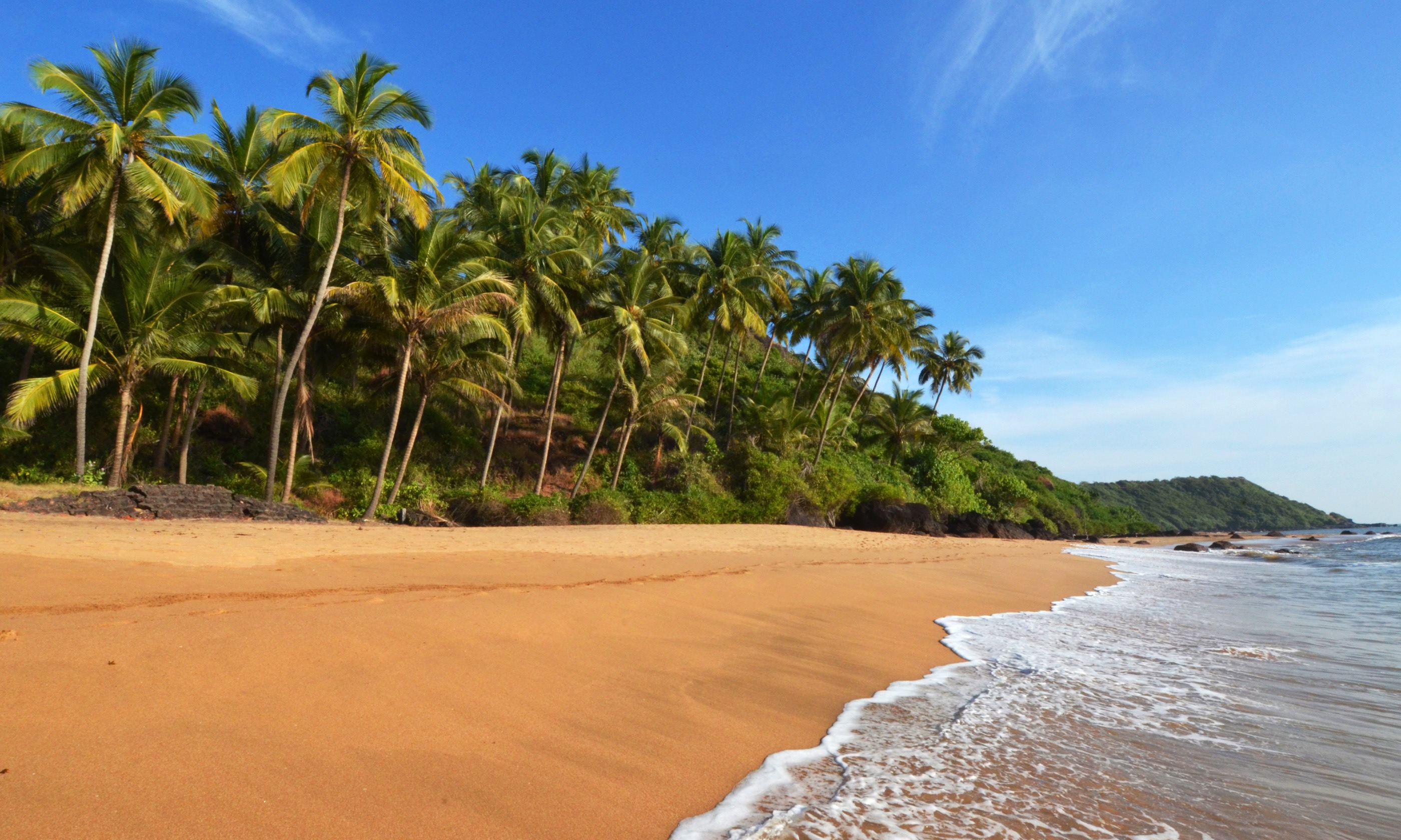 Beach near Goa (Shutterstock.com)