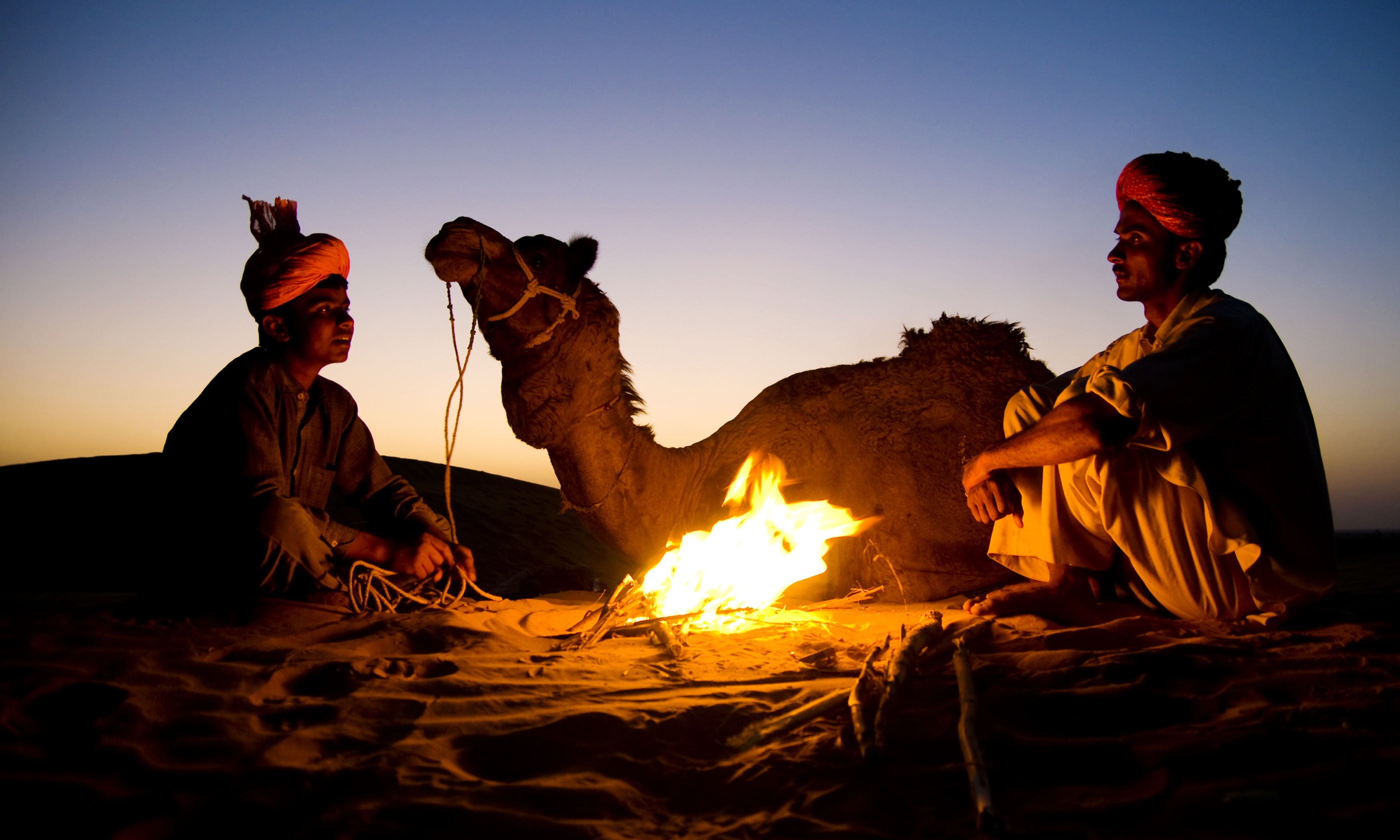 Two men and a camel (Shutterstock.com)