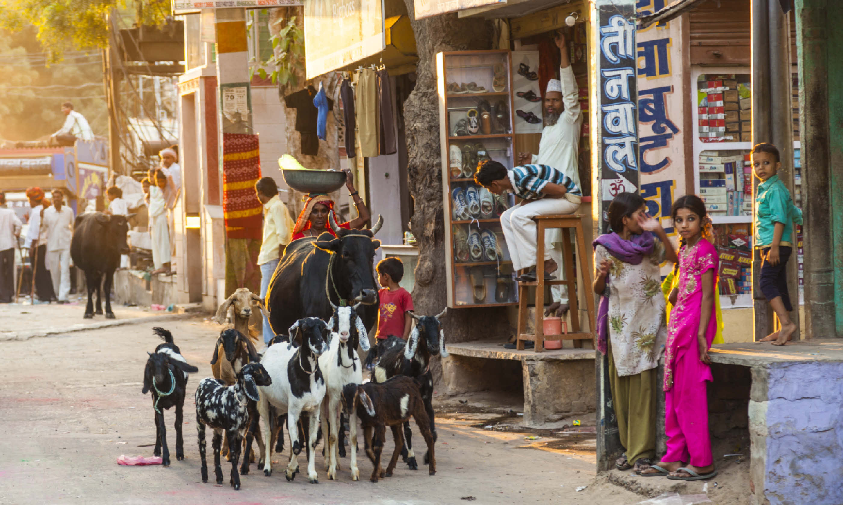 Jodhpur bazaar (Shutterstock)