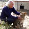 Rom Whitacker and a leopard
