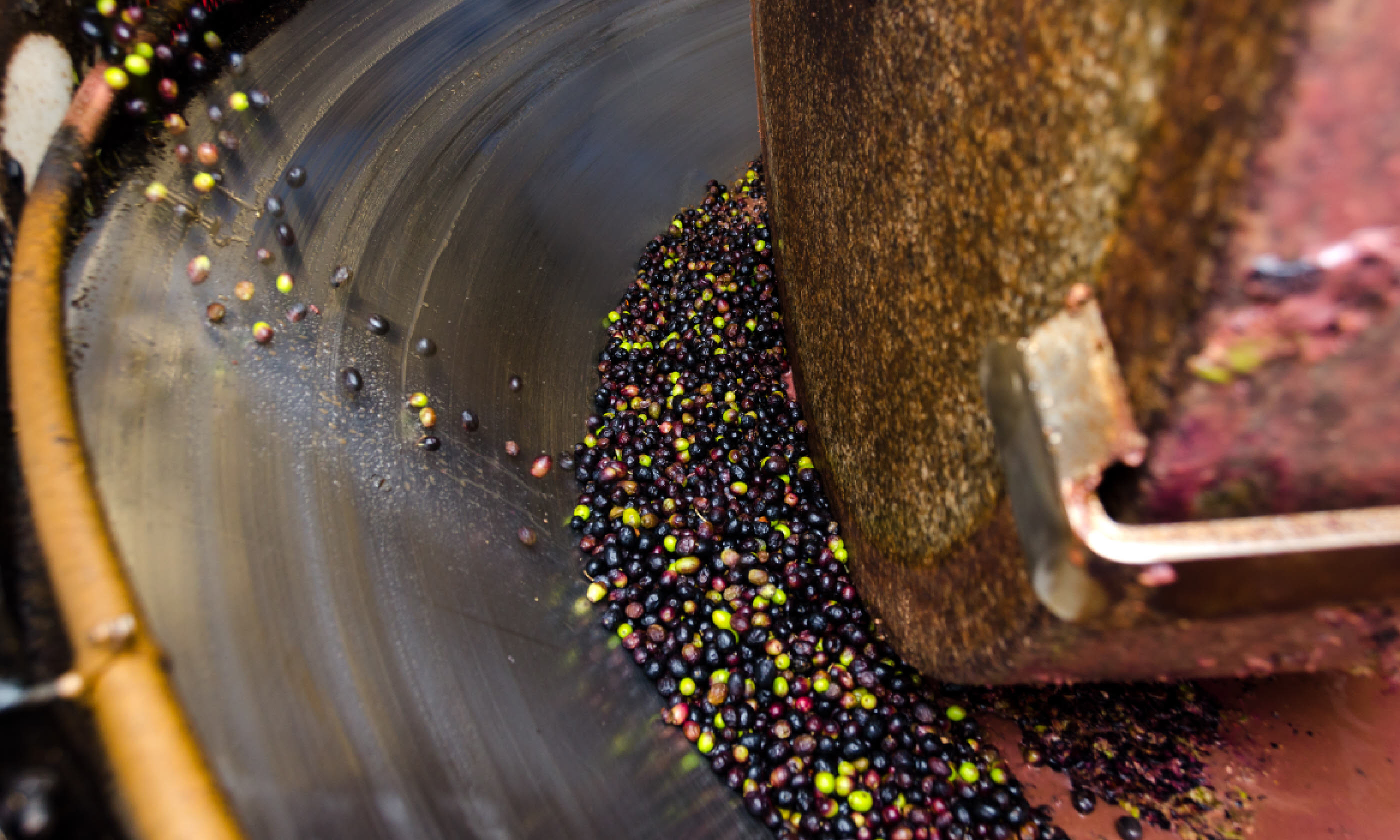 Granite millstone crushing olives (Shutterstock)