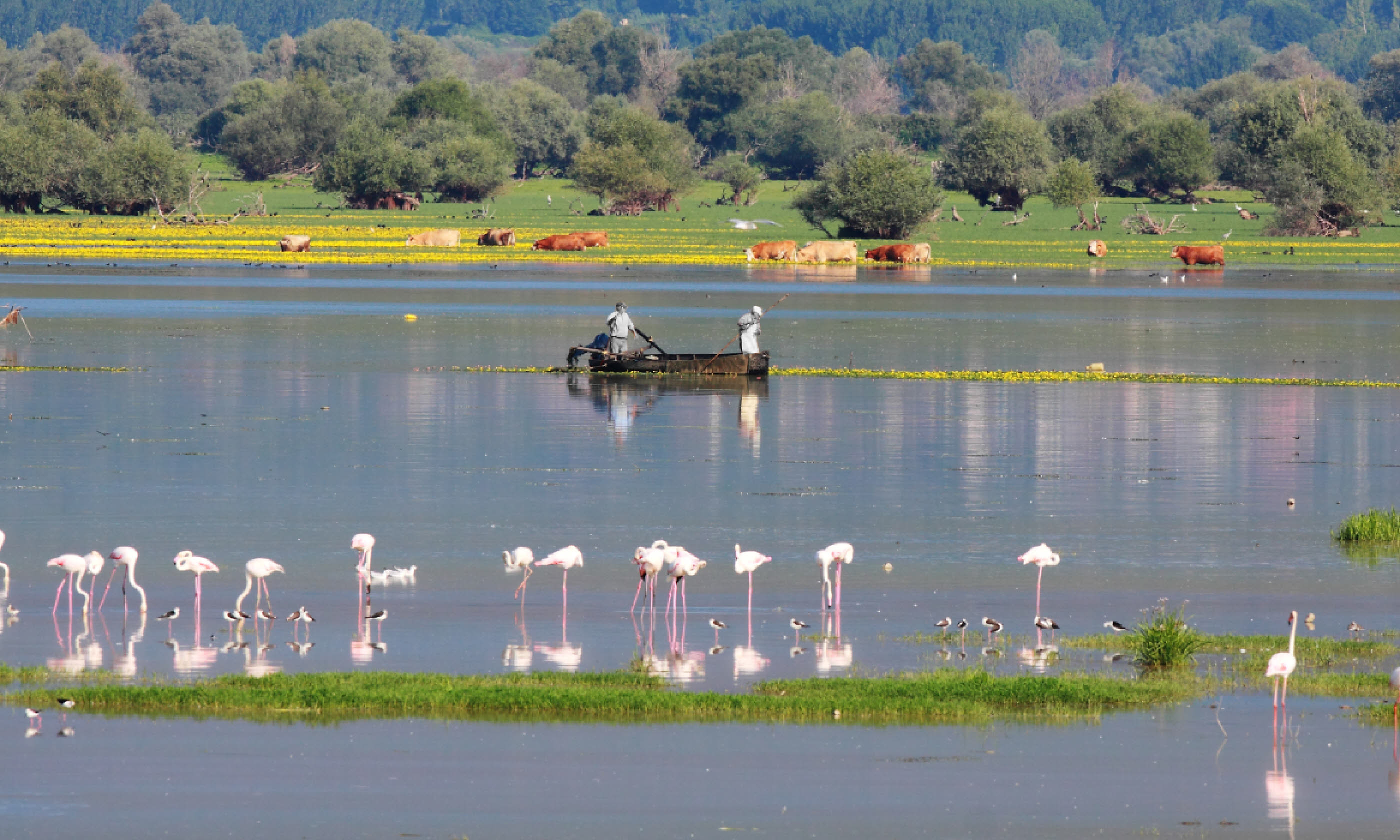 Lake Kerkini (Photo: S. Mountzelos)