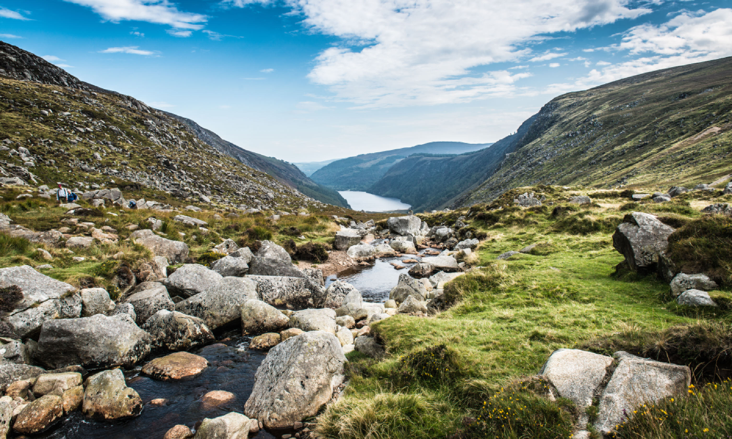 Wicklow Mountains (Shutterstock)