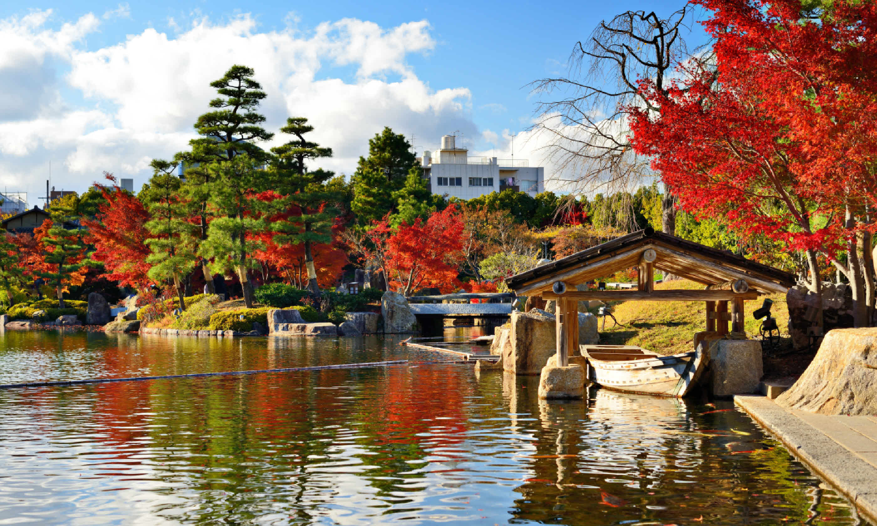 Fall foliage in Nagoya, Japan (Shutterstock)