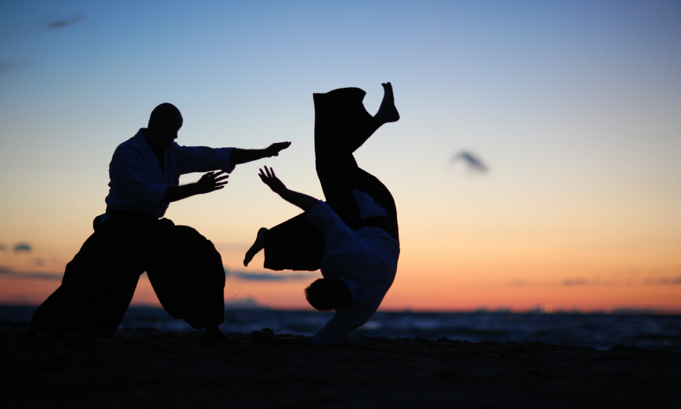 Practicing aikido technique (Shutterstock: see credit below)