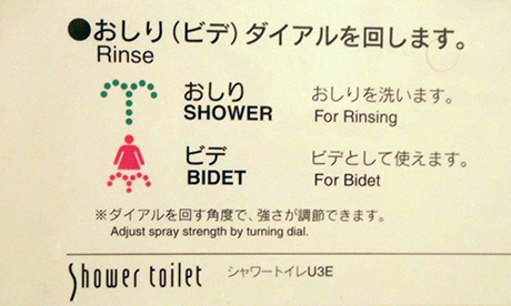 Japanese Toilet Sign (The Only Blonde in Osaka)