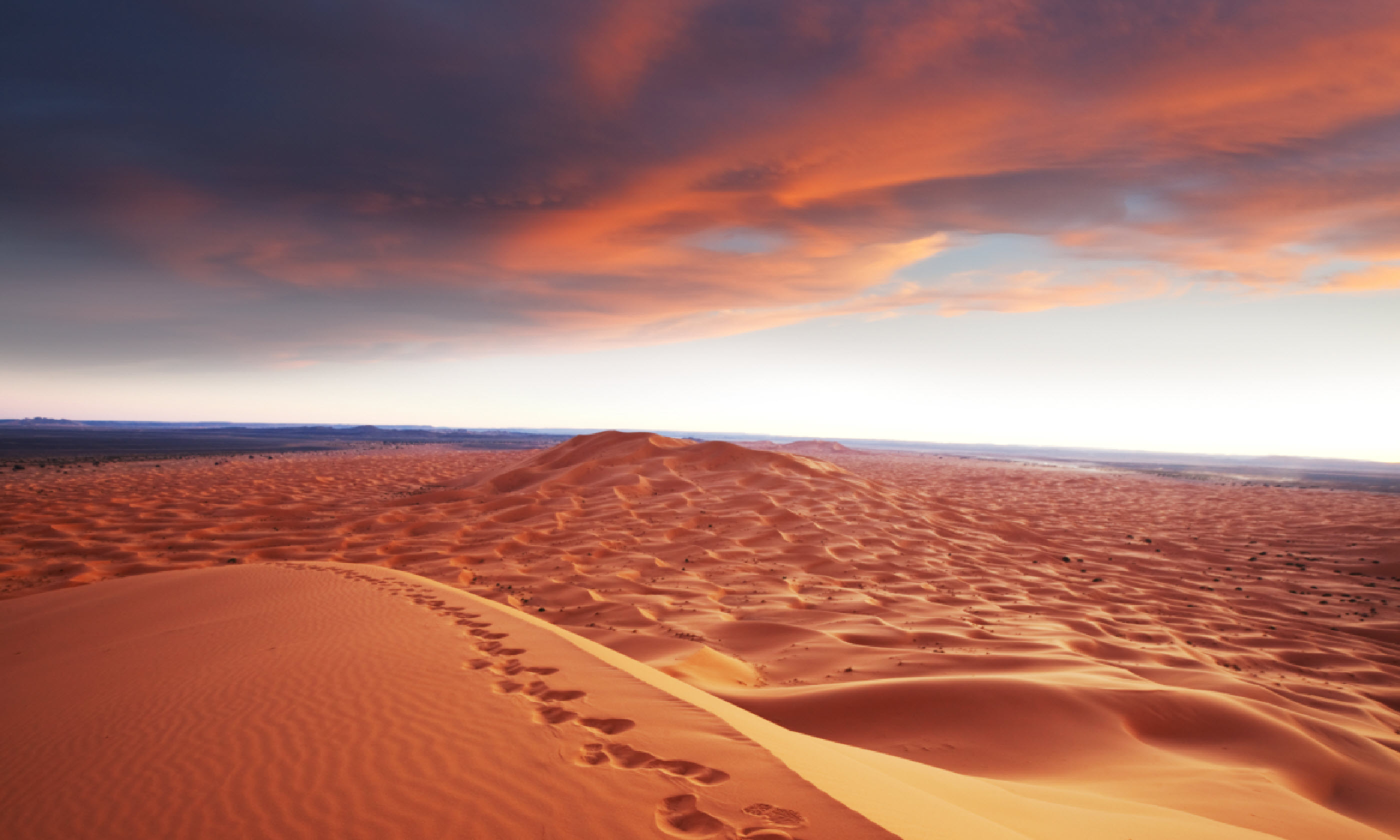Sahara desert (Shutterstock)