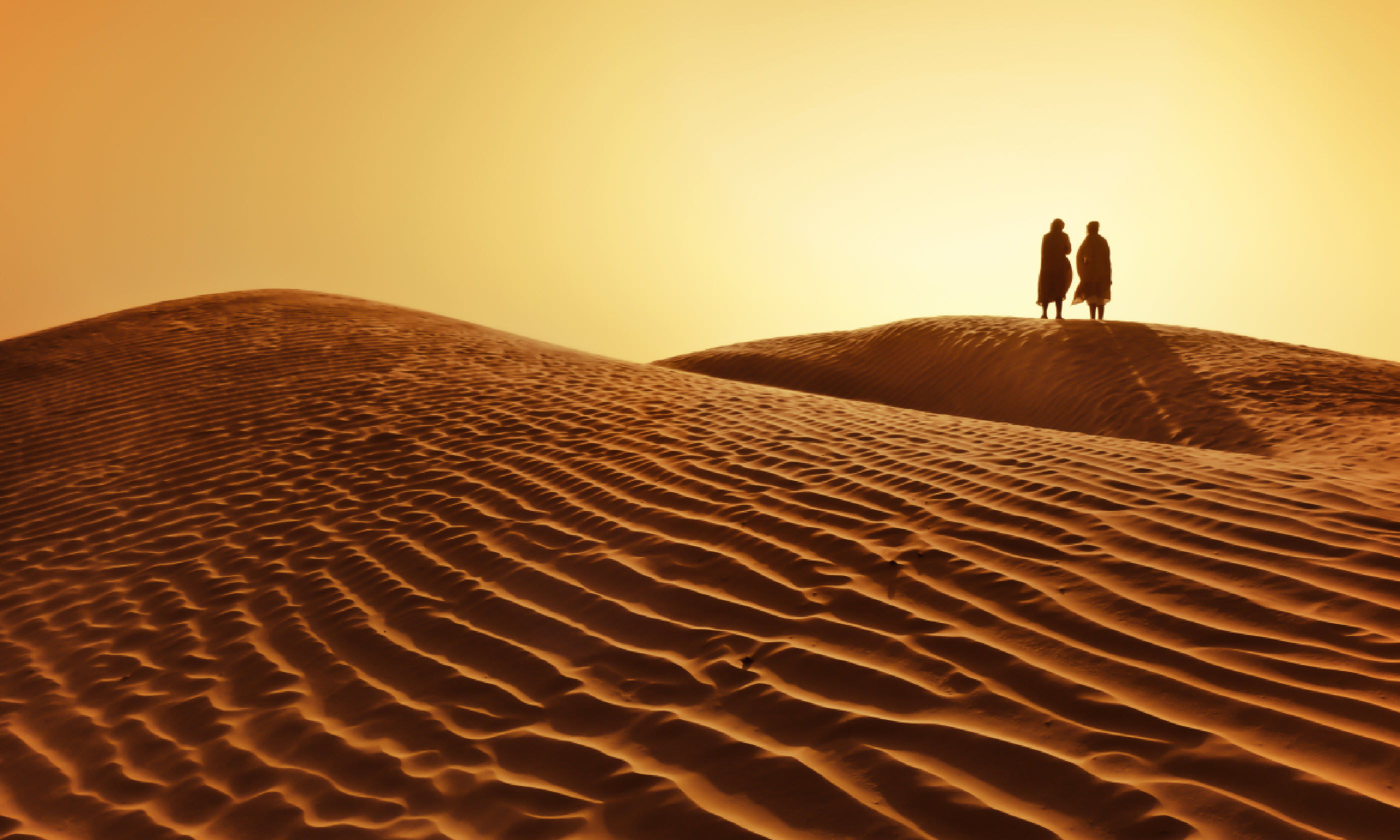 A couple in the Sahara desert (Shutterstock)