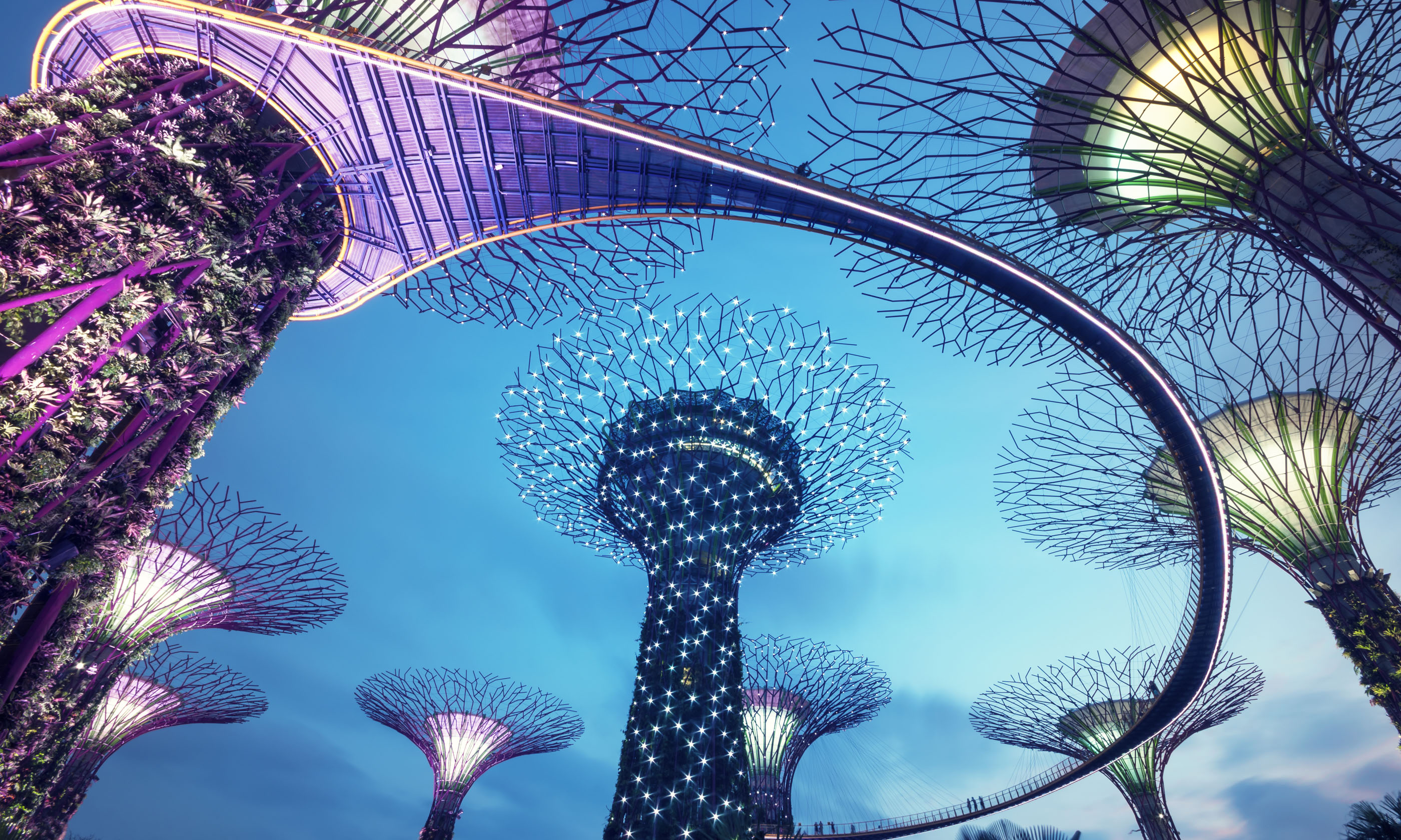 Super Tree garden, Singapore (Shutterstock: see main credit below)