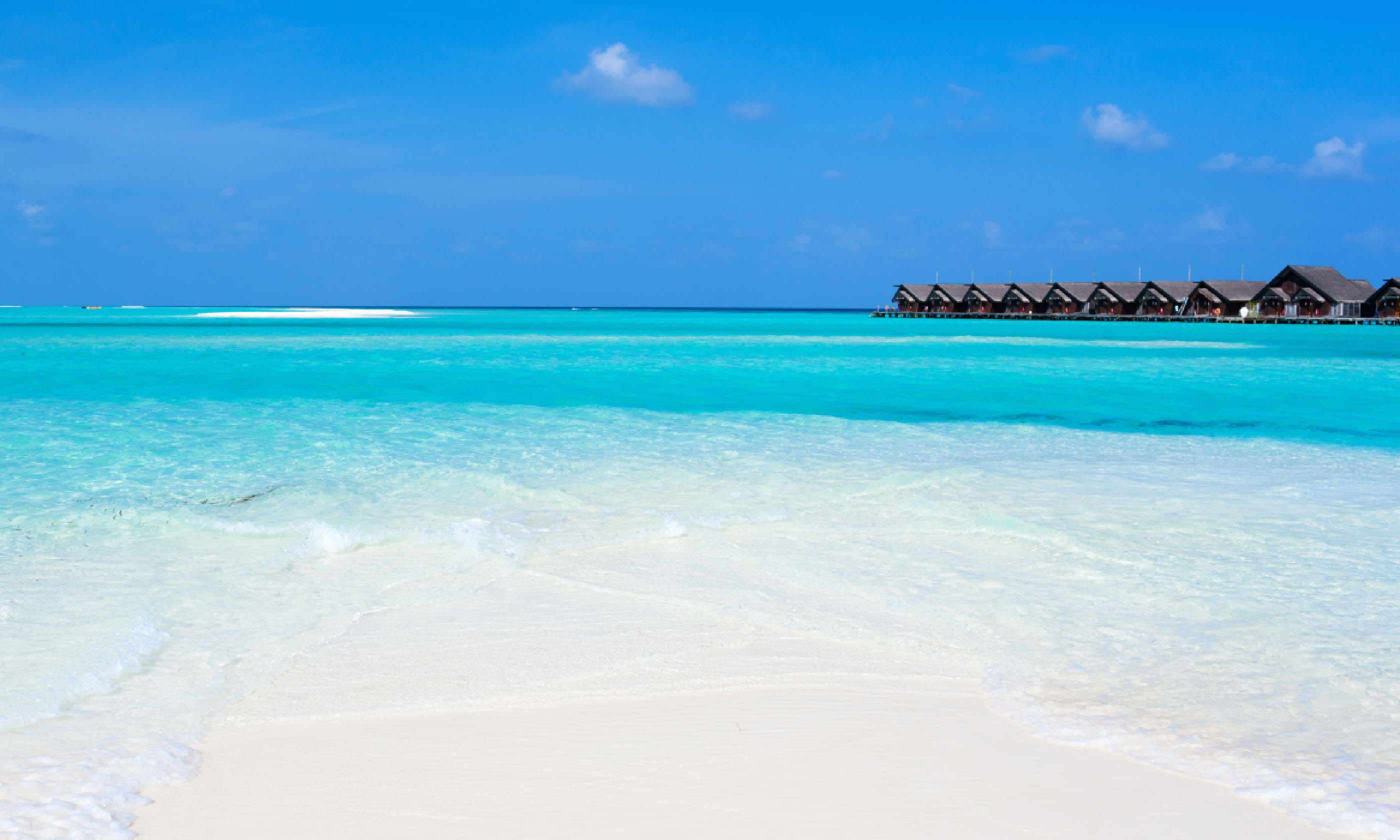 Beautiful tropical beach on exotic island at Maldives (Shutterstock: see credit below)