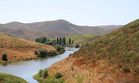 Portugals Coa Valley (Bernt Rostad)