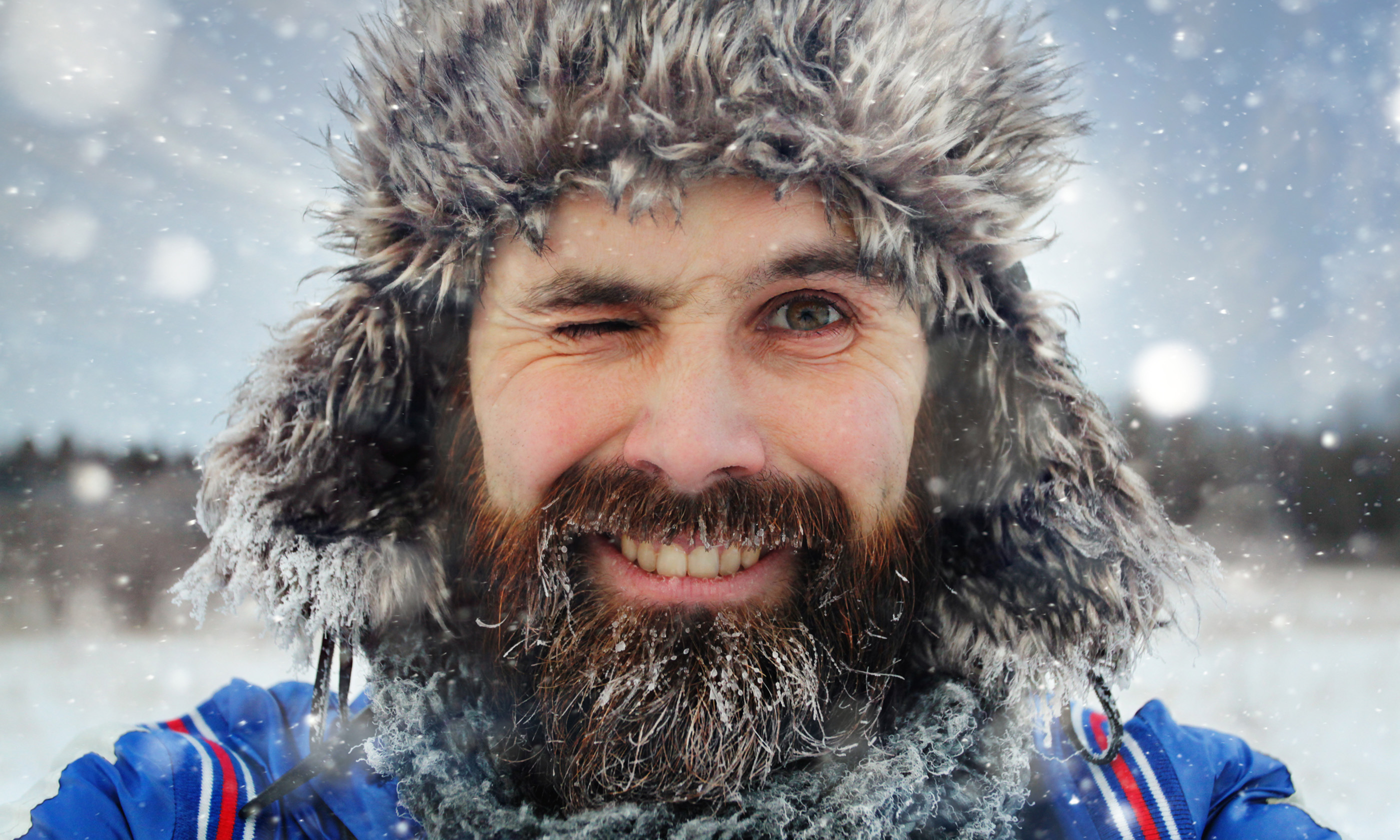 Bearded Russian (Shutterstock.com)
