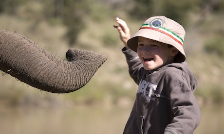 How to take your children along on your first safari (William Gray)