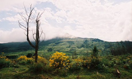 Amatola Hiking Trail, Eastern Cape, South Africa (Flickr: runfreefall)