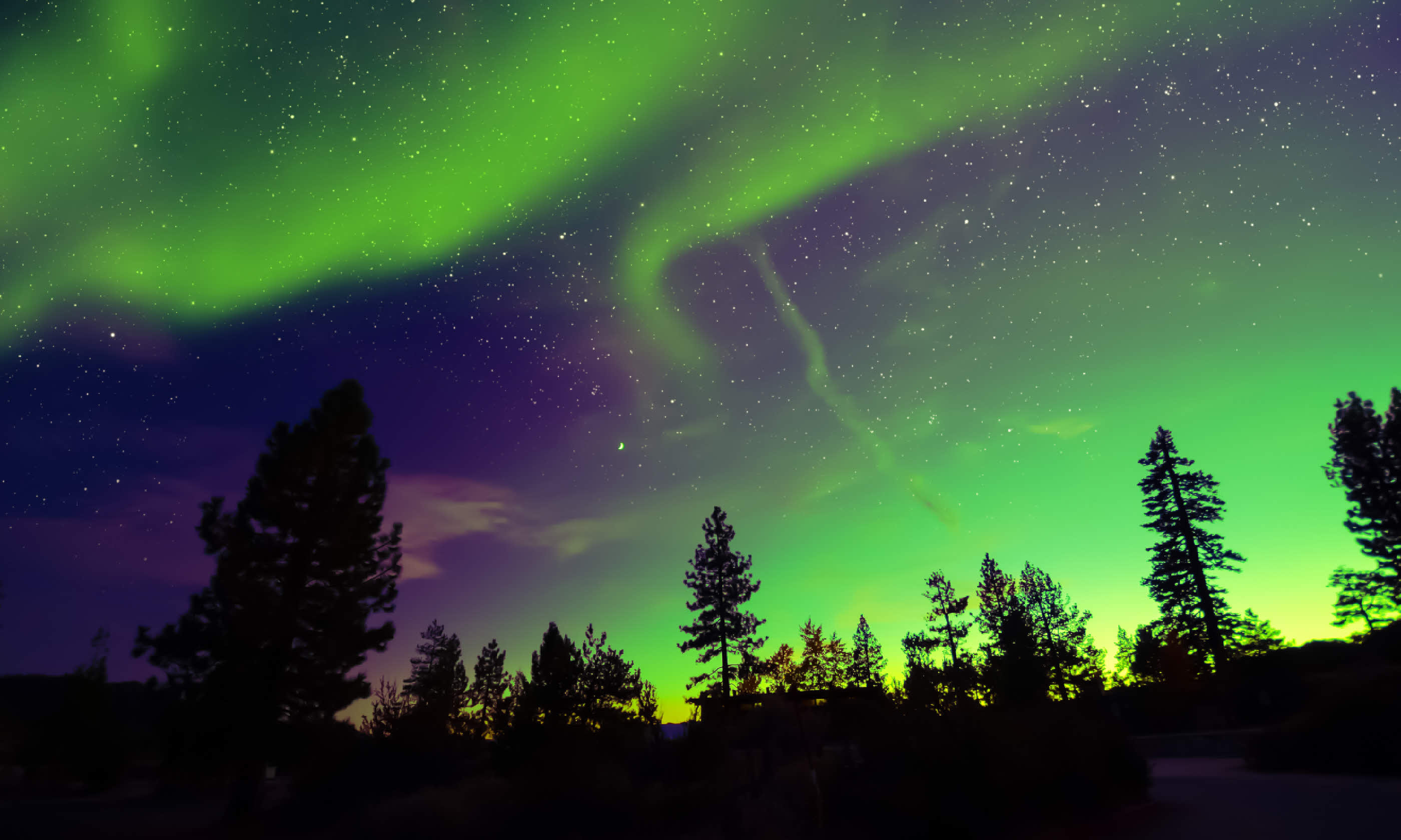 Northern Lights Aurora Borealis in the night sky (Shutterstock: see credit below)
