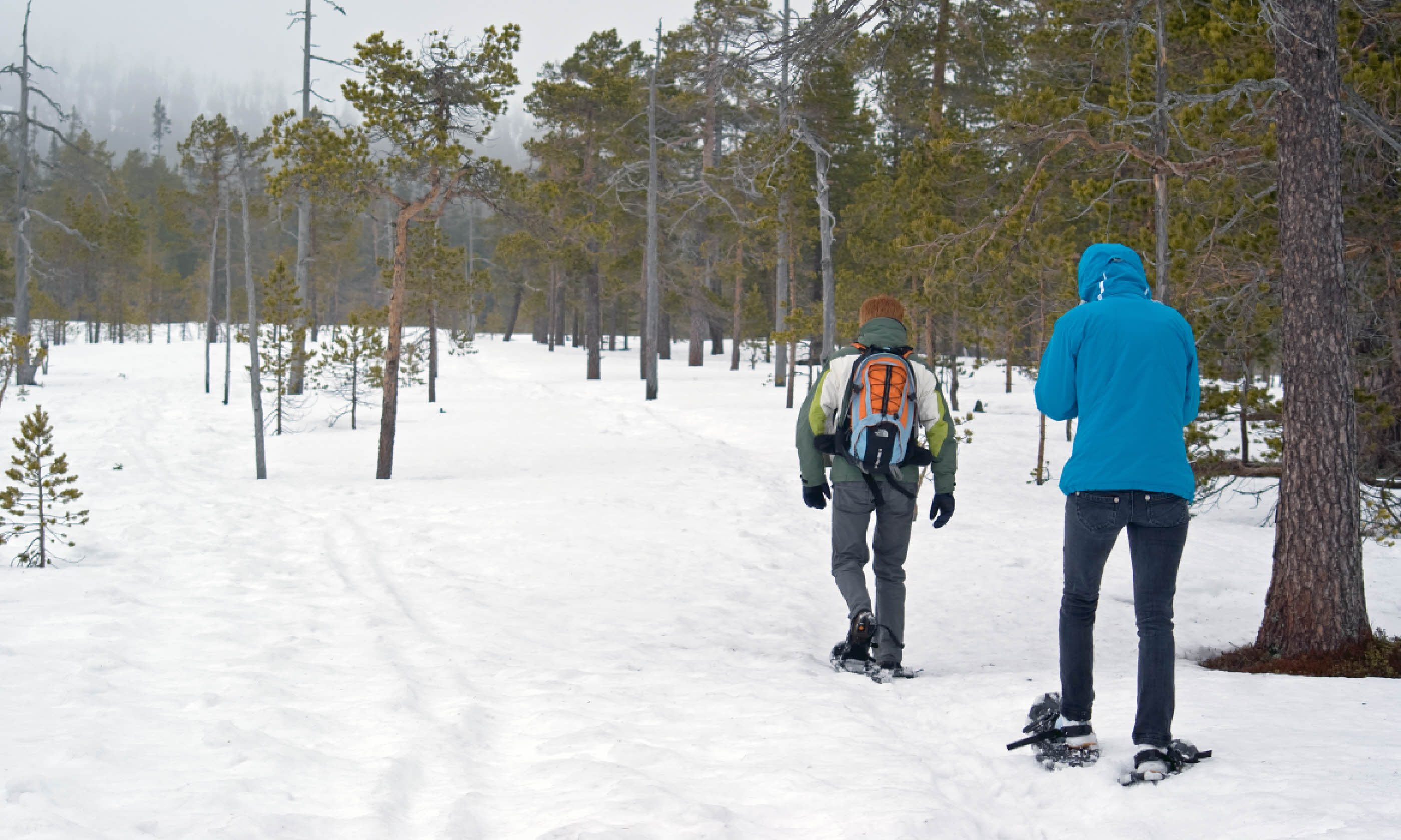 Snowshoing in Sweden (Shutterstock)