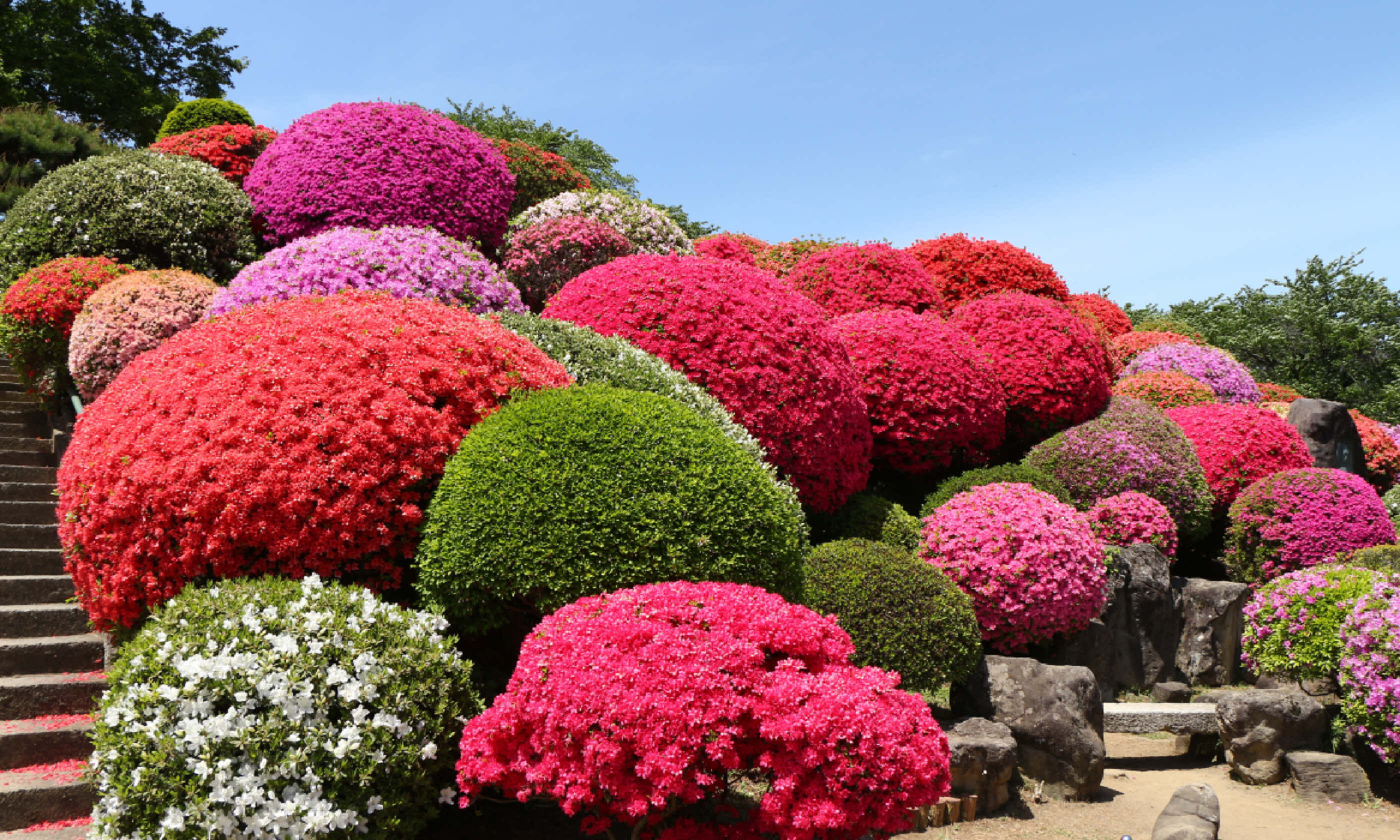 Exbury Gardens (Shutterstock)