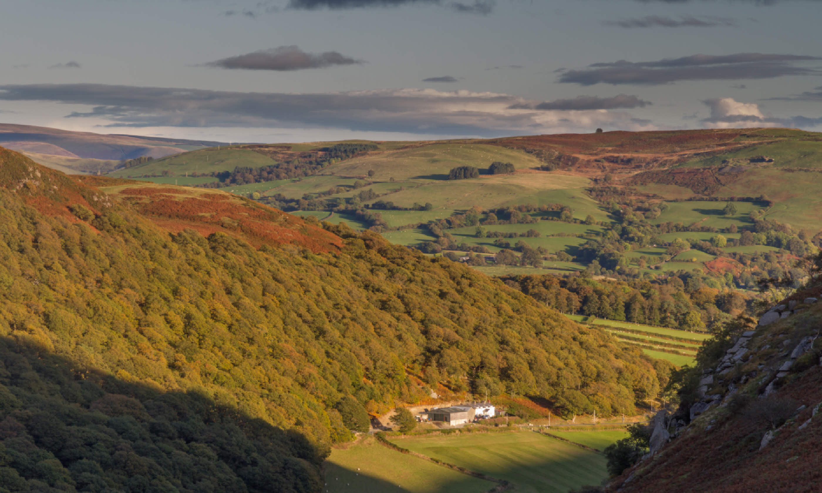 Autumn in Elan Valley, Powys (Shutterstock)