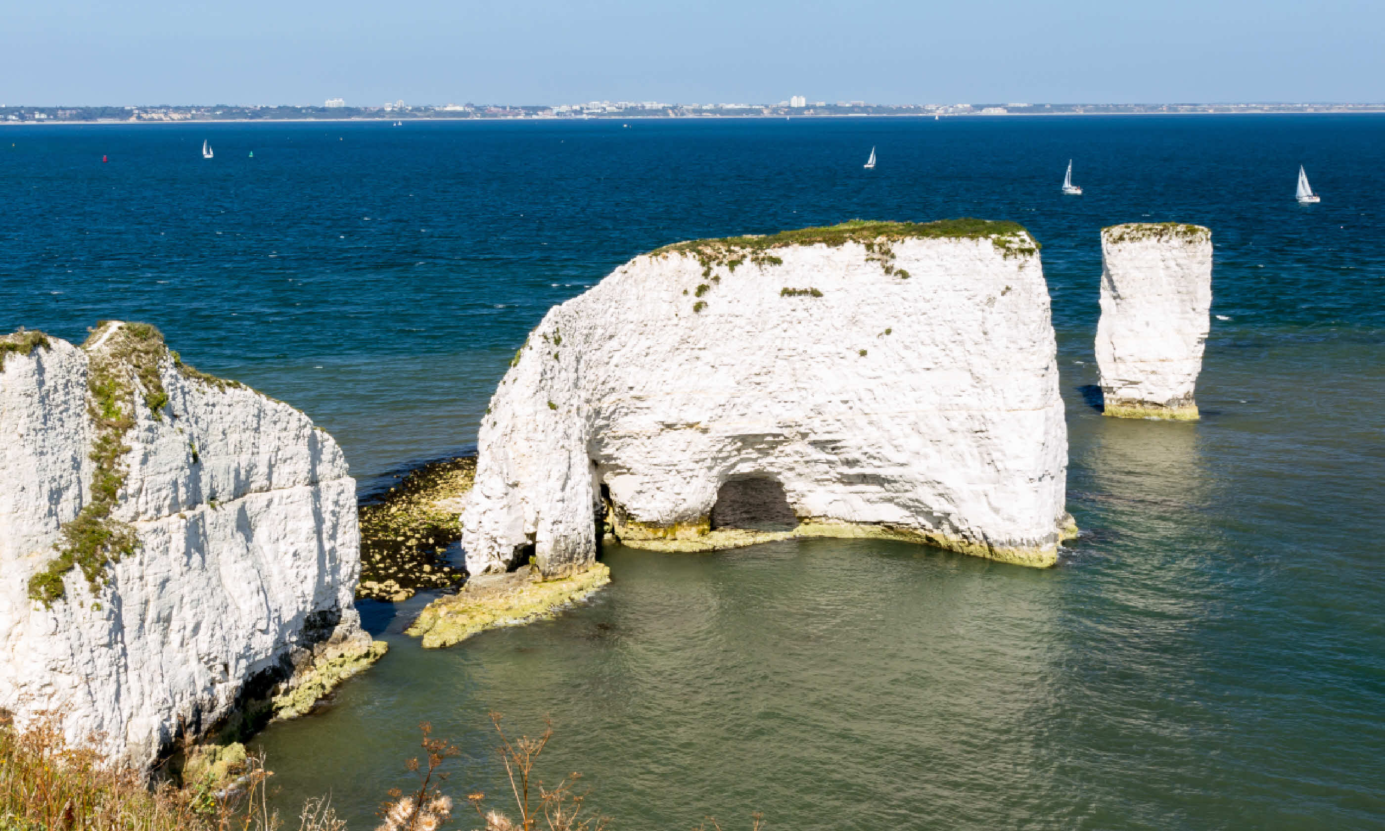 Old Harry Rocks (Shutterstock)