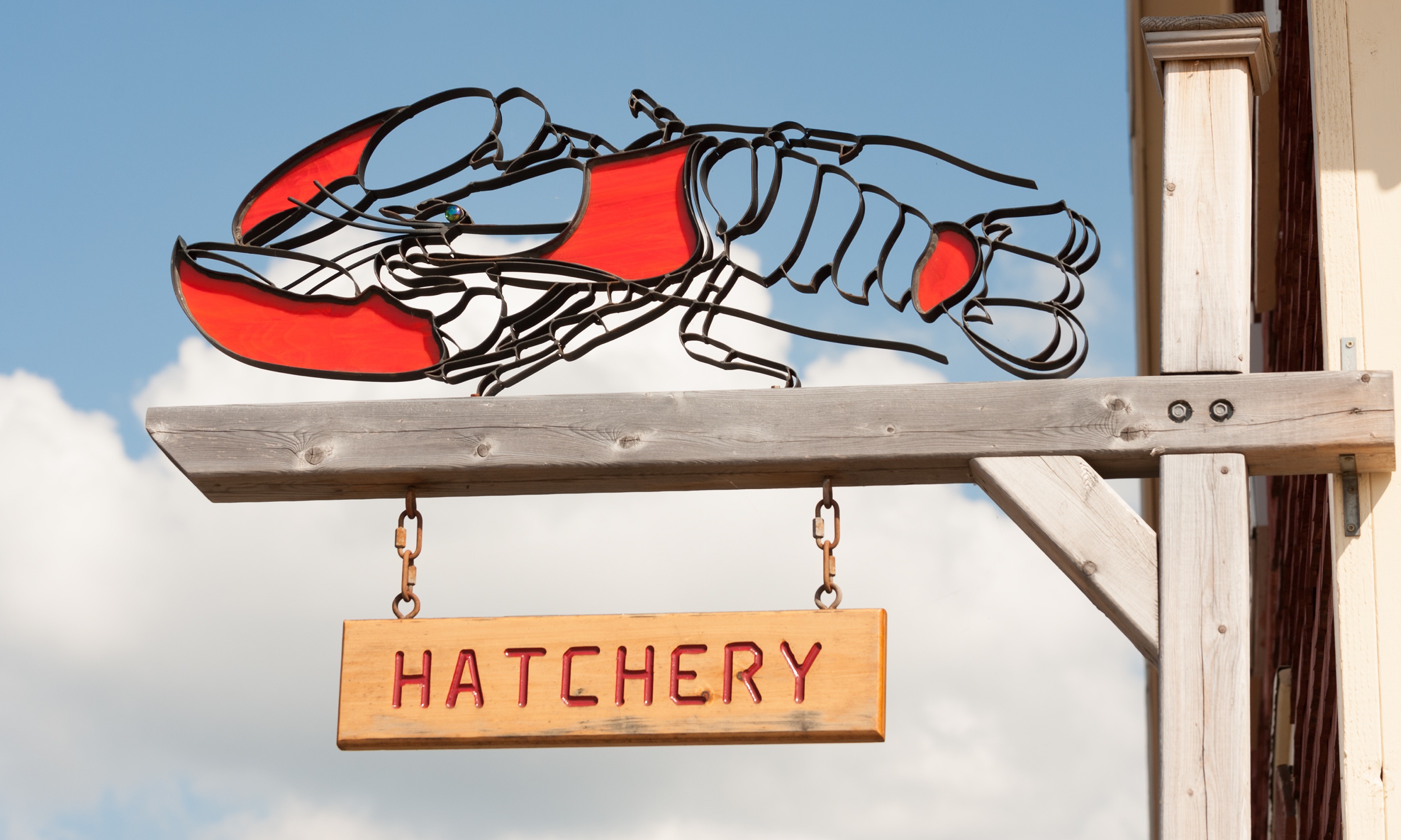 Lobster hatchery sign