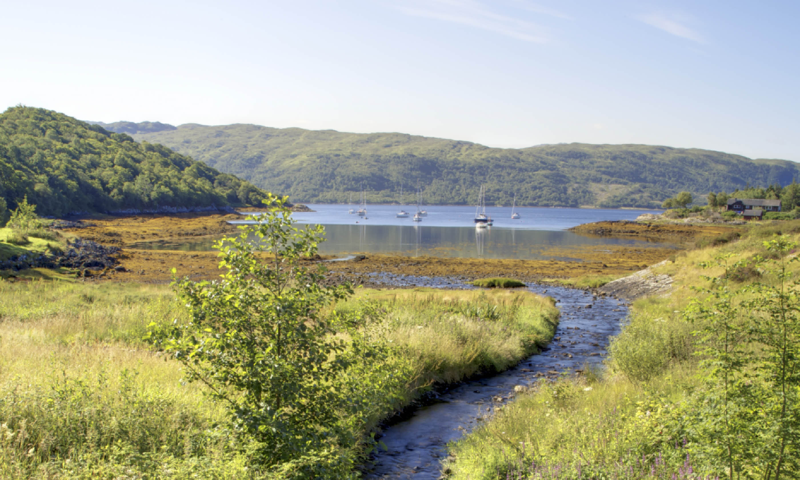 Loch Sunart (Shutterstock)