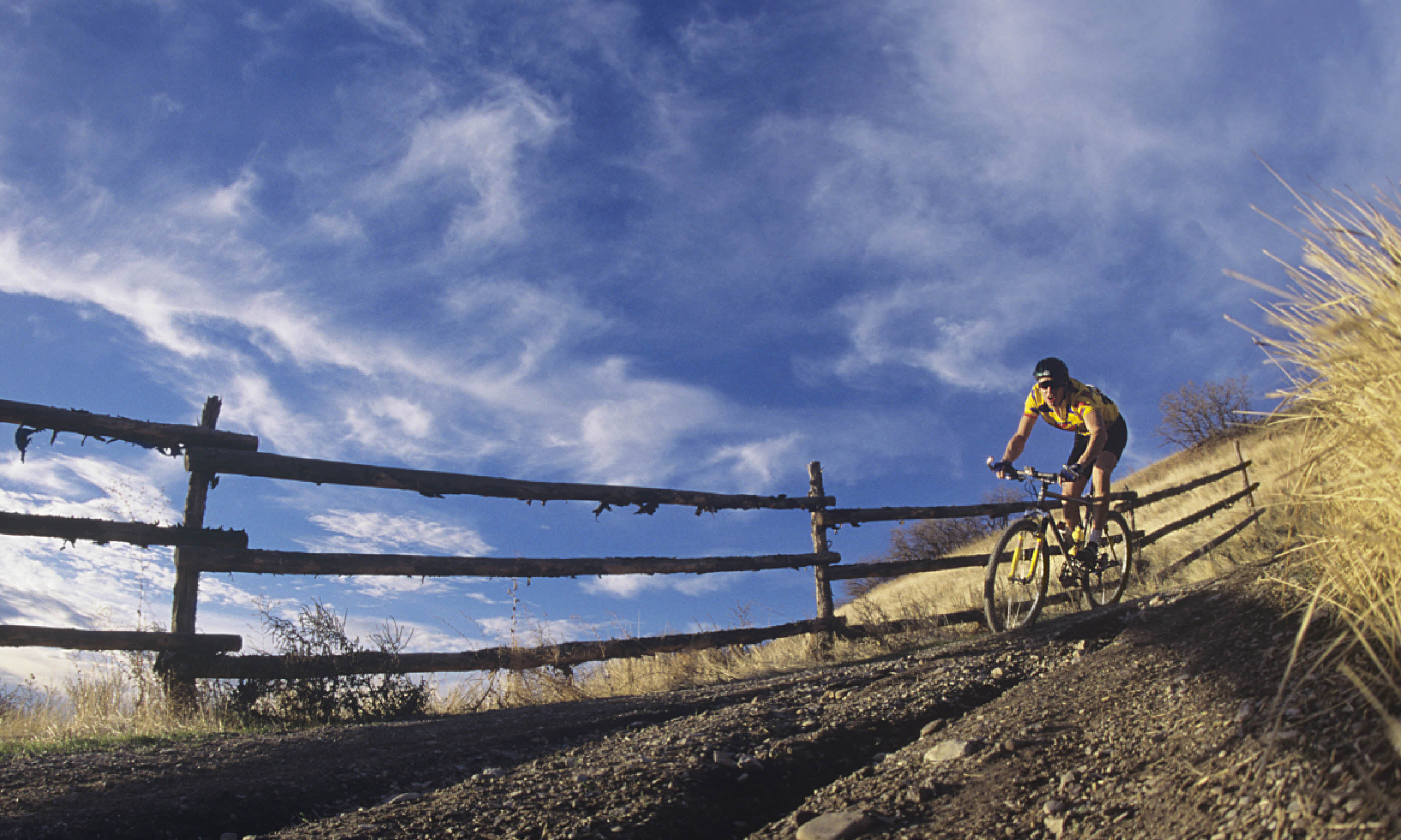 Mountain biking in Scotland (Shutterstock)