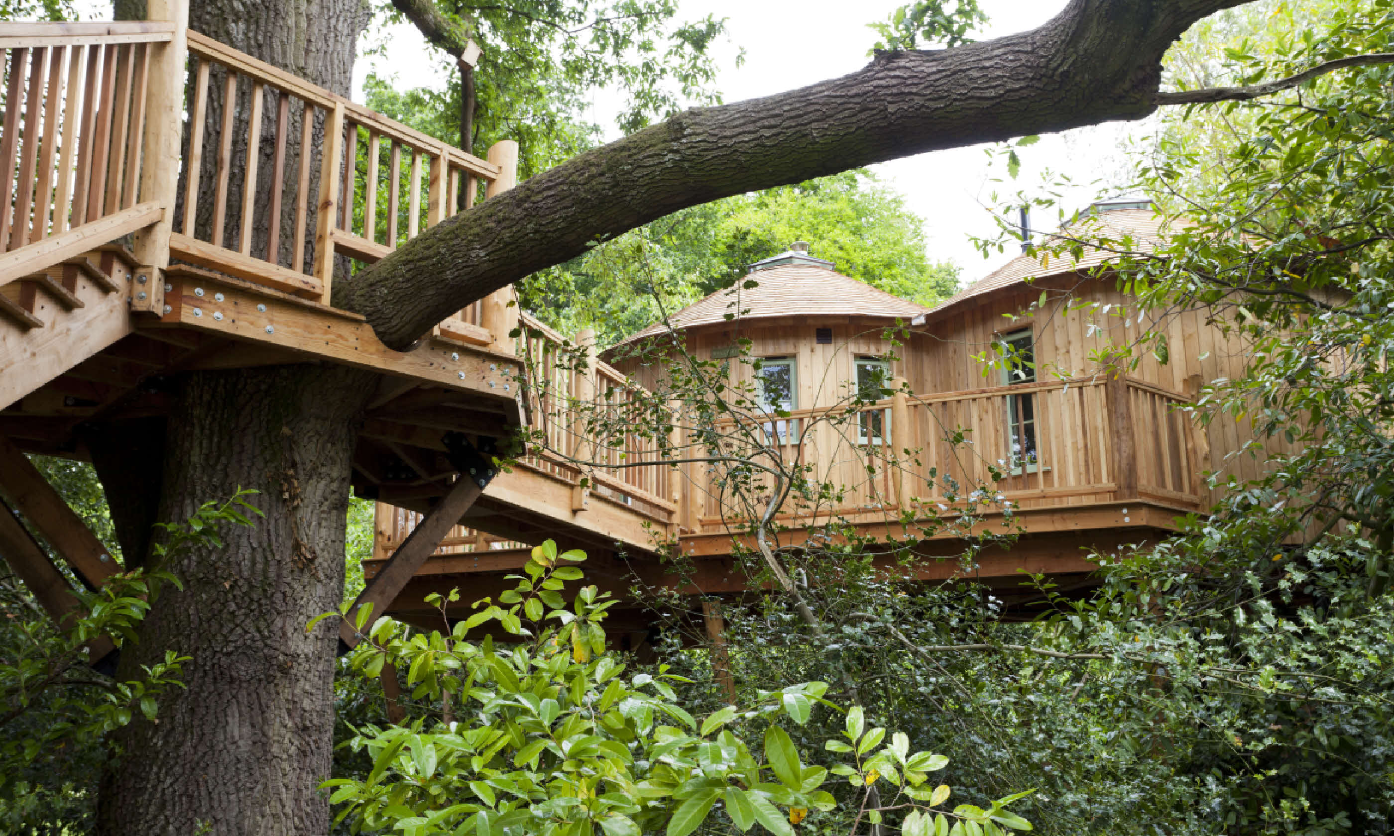 The Treehouse at Harptree Court, Canopy and Stars