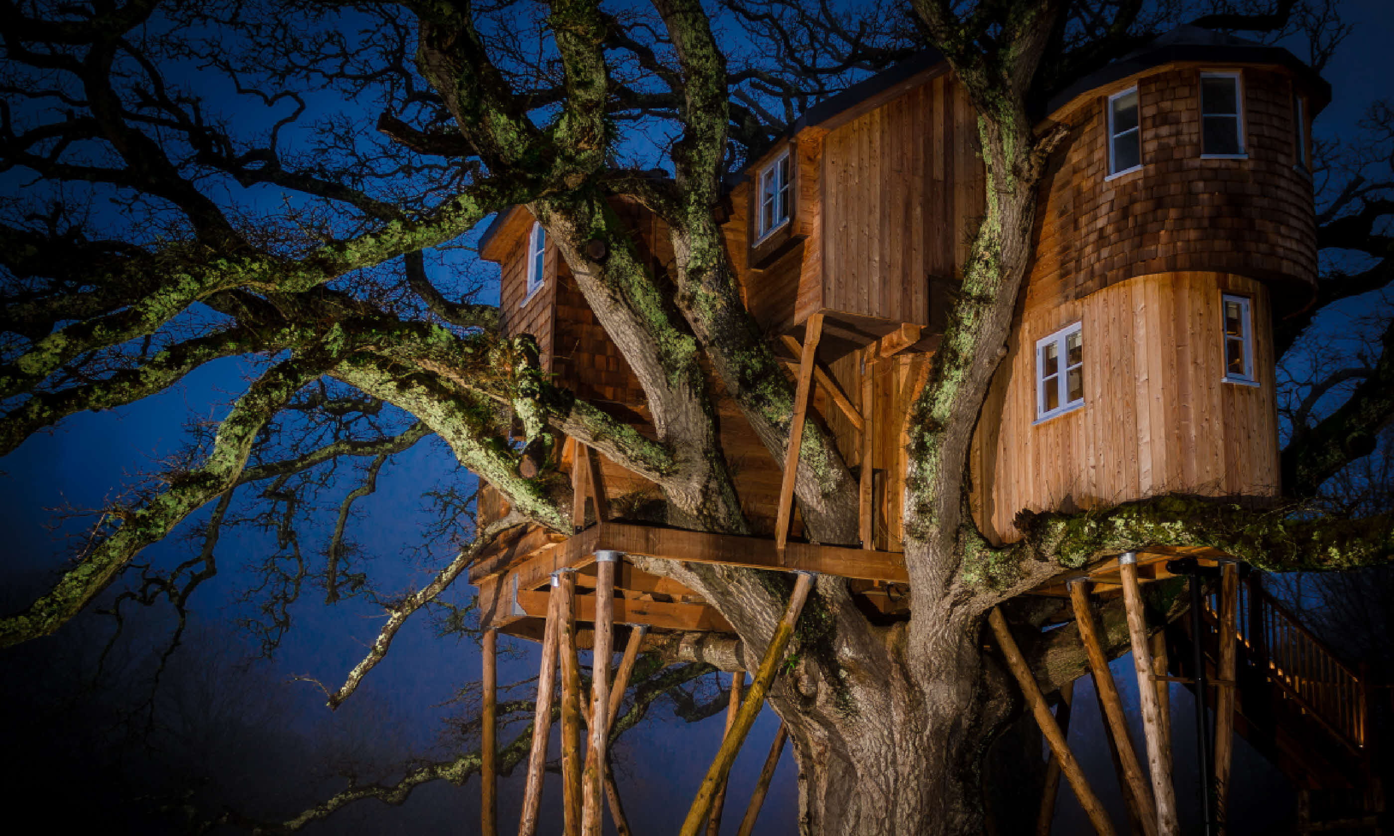 Treetops Treehouse