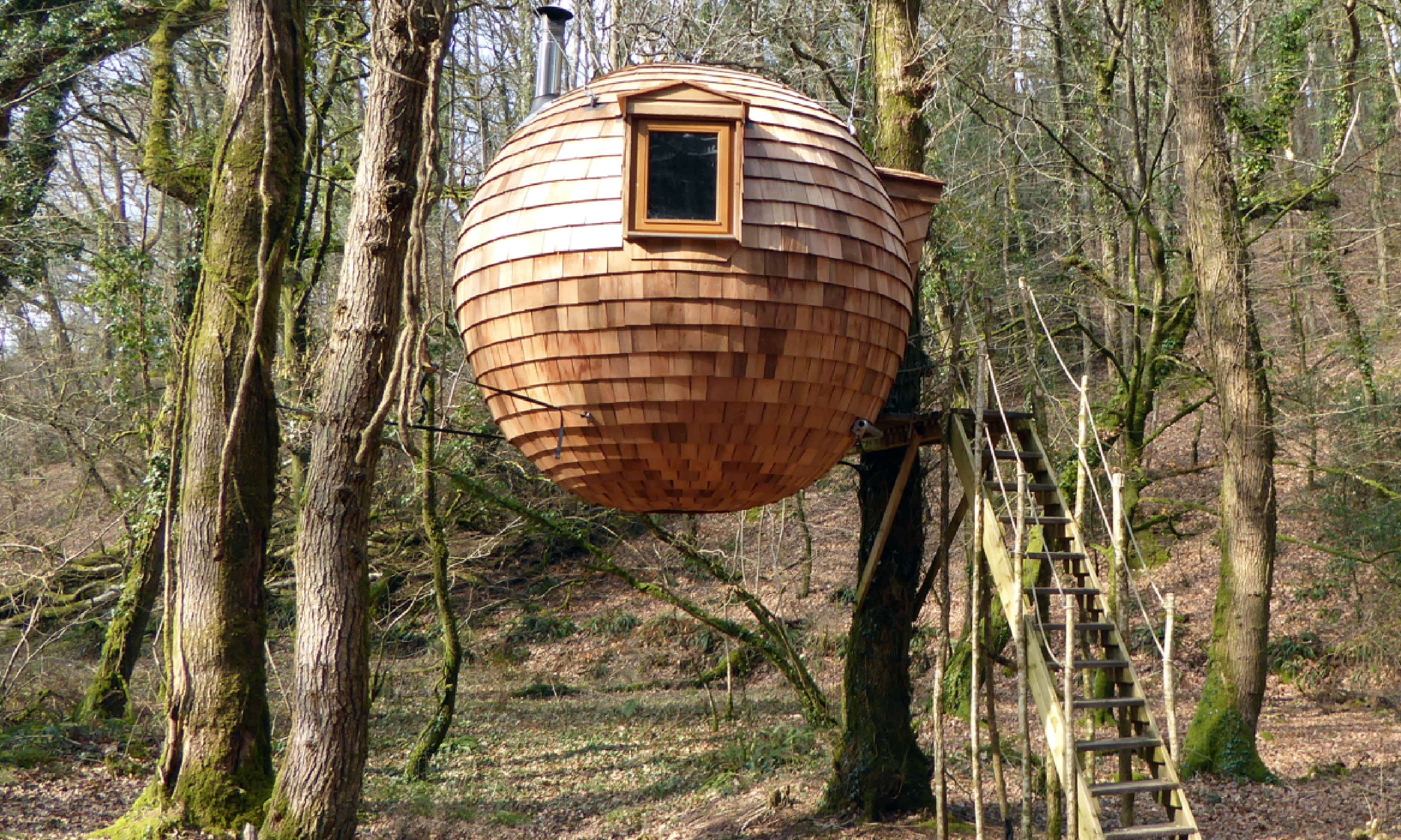 Lost Meadow Treehouse (Canopy and Stars)