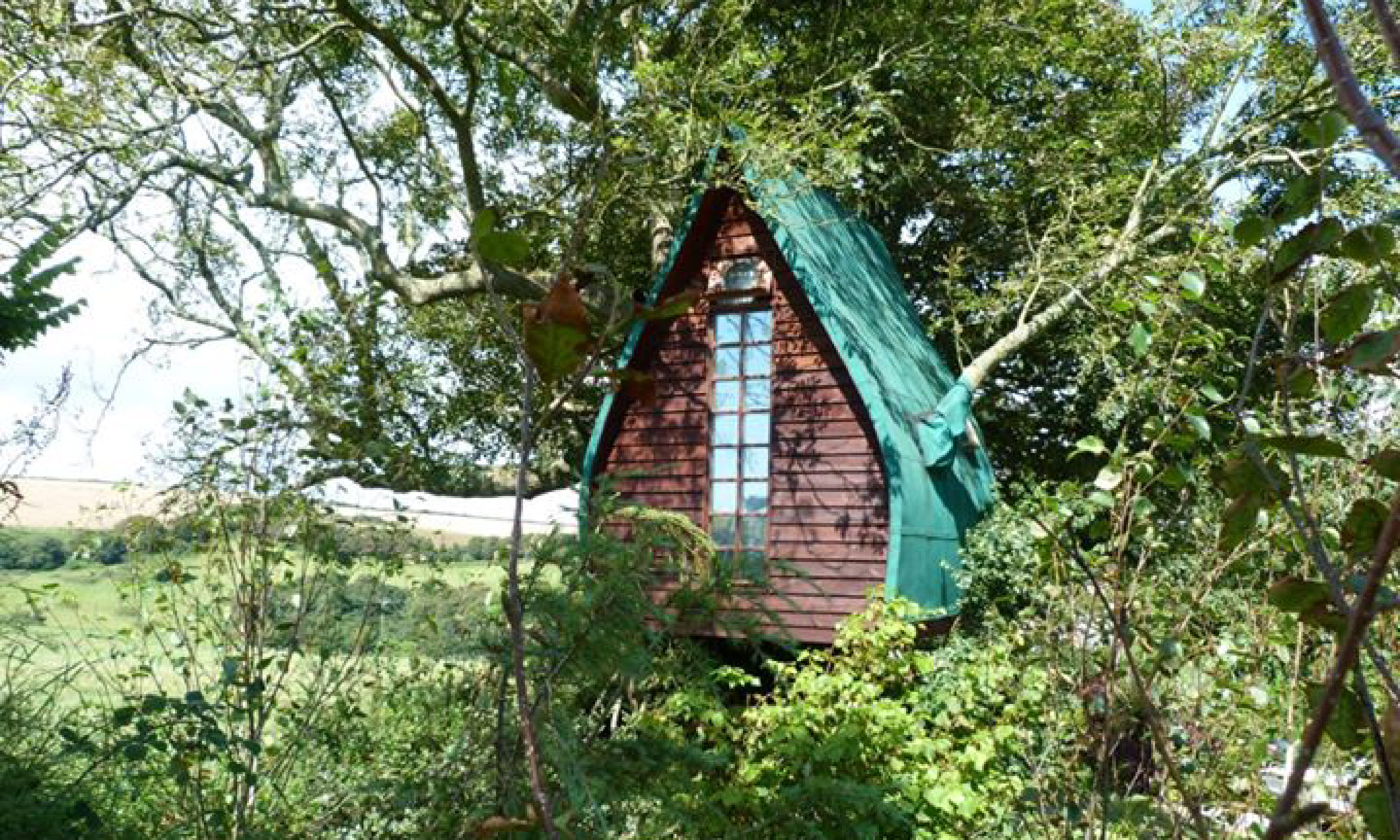 Tree Sparrow House