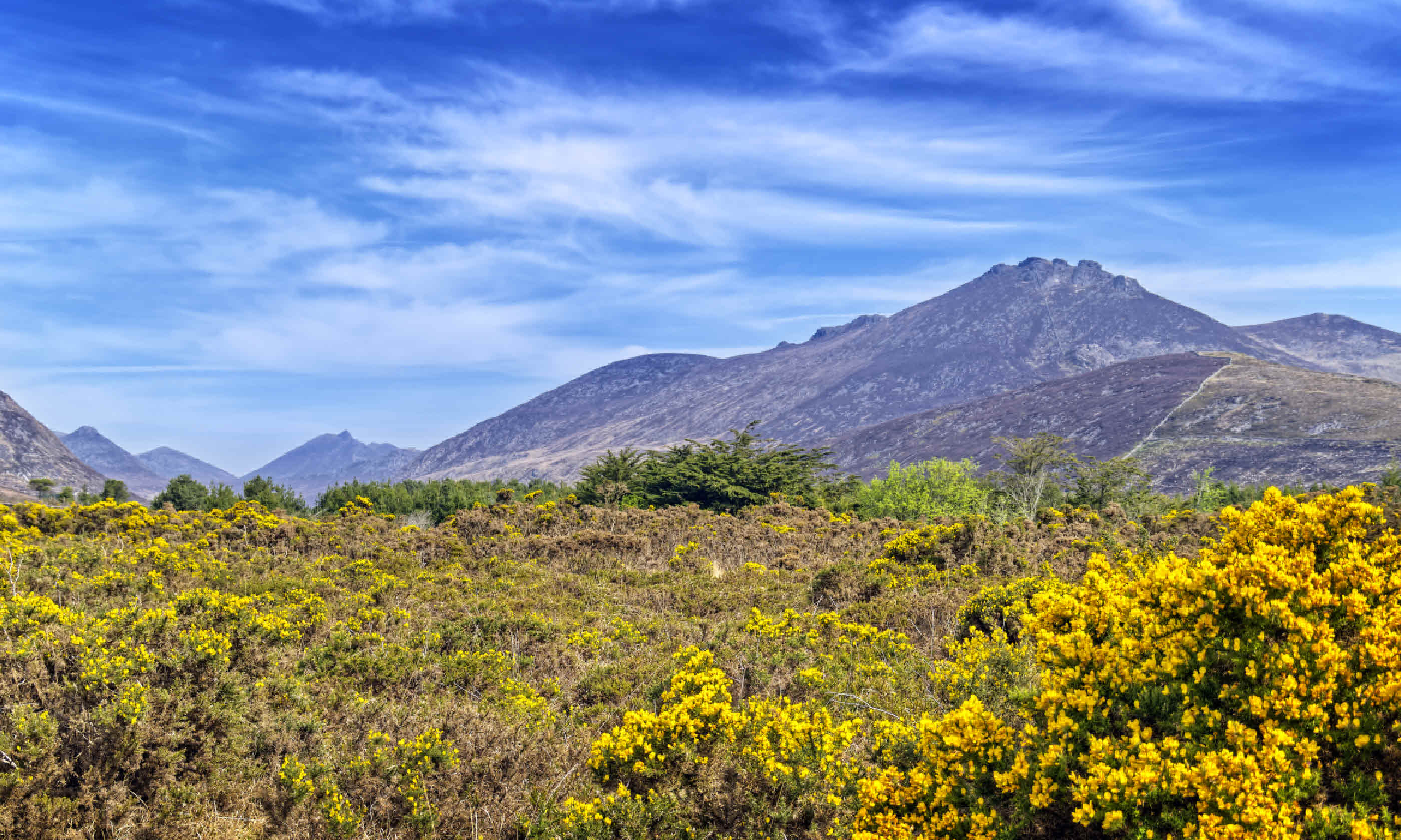 View of the Mourne Mountains, Ireland (Shutterstock: see credit below)