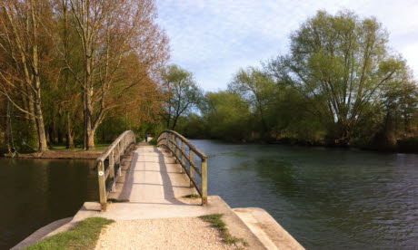 The River Thames by Port Meadow (Image: Daisy Cropper)
