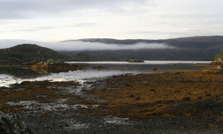 Otter country on the Ardnamurchan Peninsula (JD)