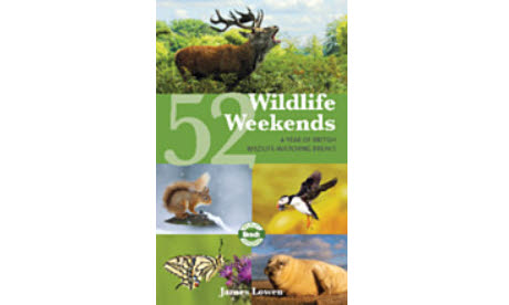 Wildlife weekends