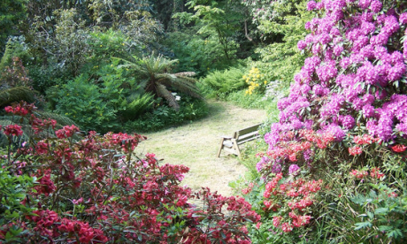 A secret garden in Snowdonia