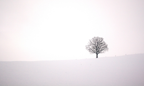 White out in winter (www.alastairhumphreys.com)