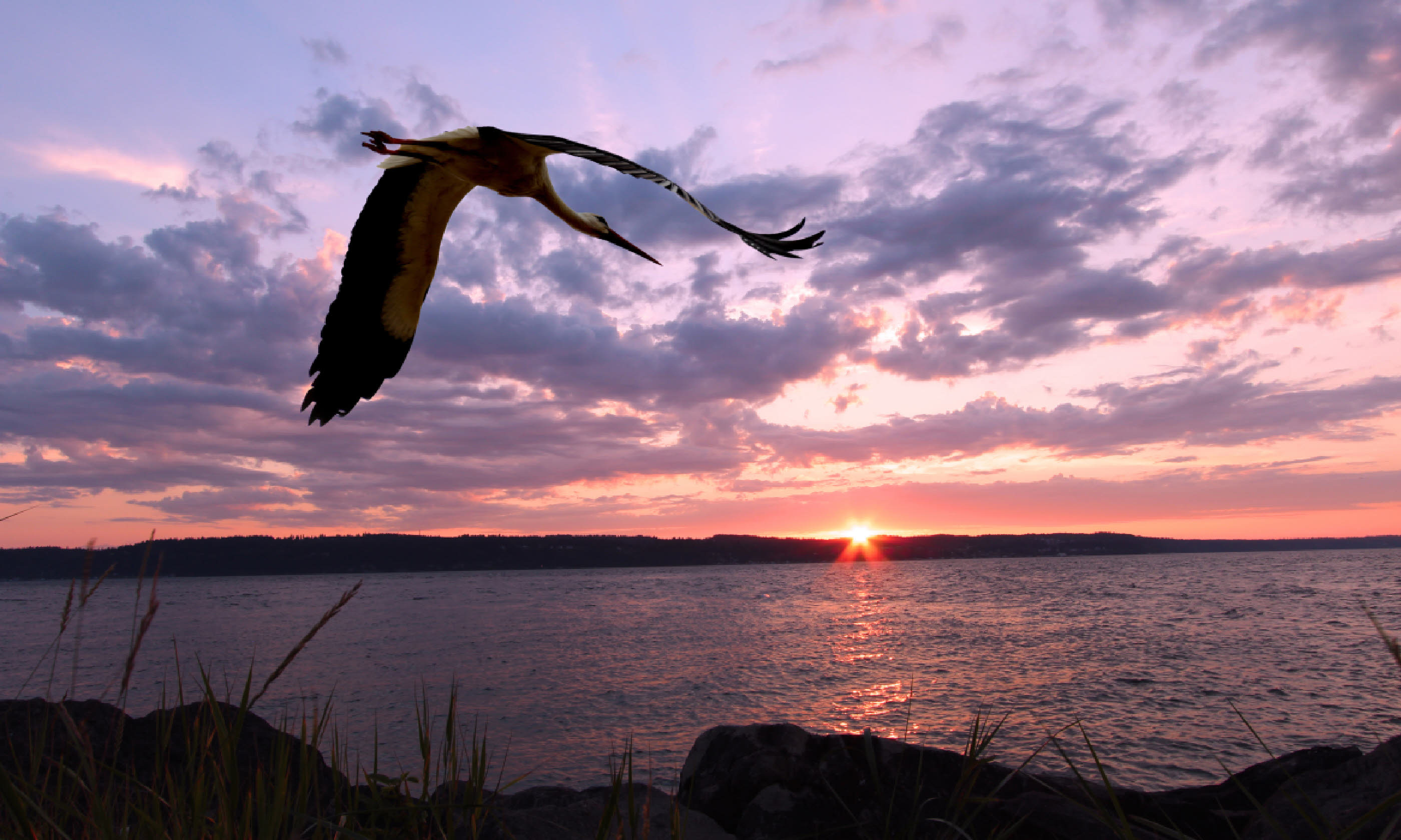 Sunset over Whidbey Island (Shutterstock)