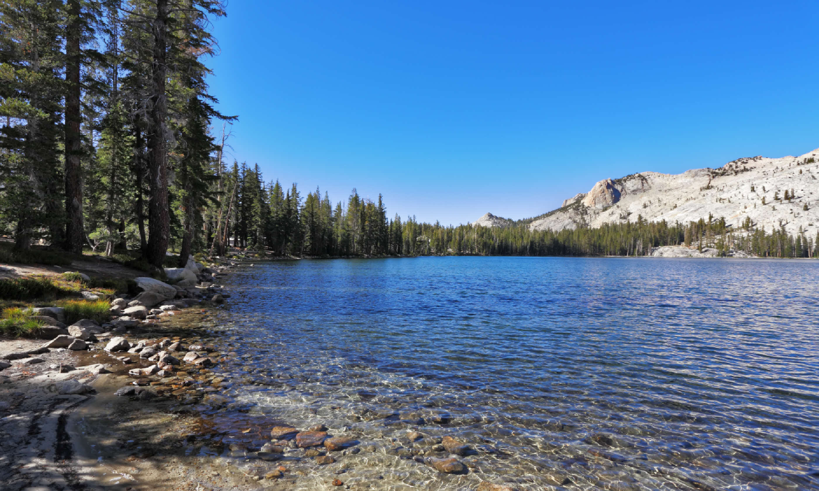 May Lake (Shutterstock)