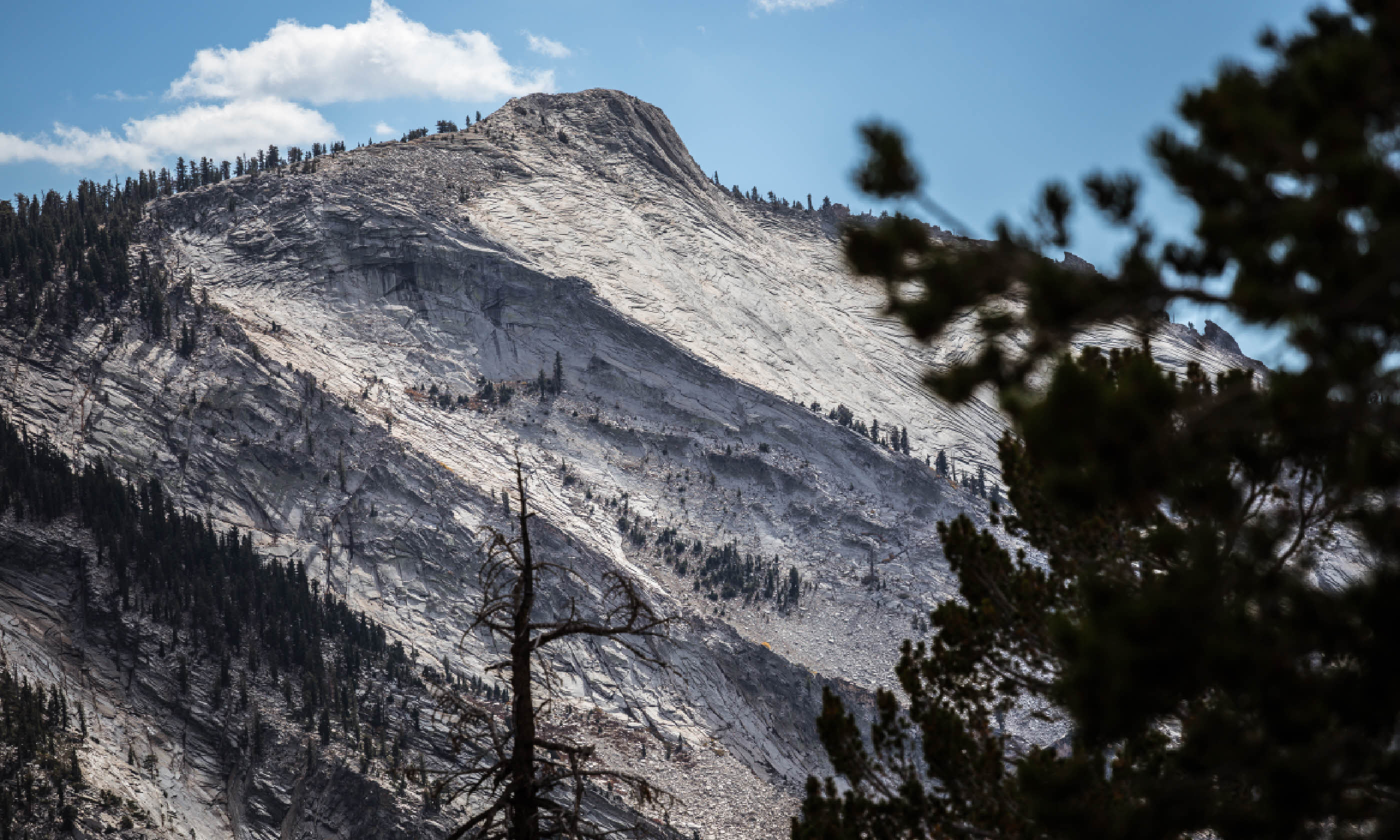 Clouds Rest, viewed from Tuolumne Meadows (Shutterstock)