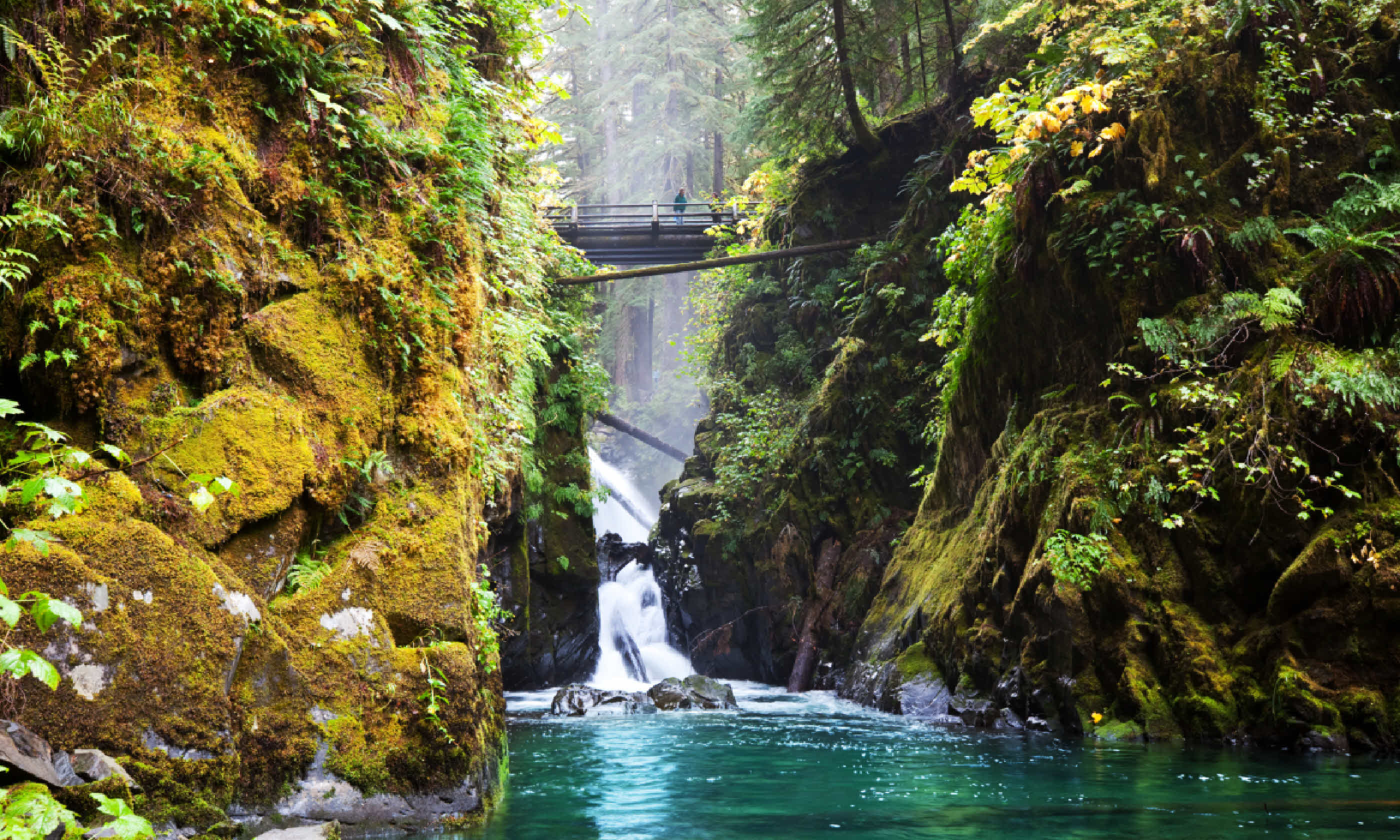 Sol Duc waterfall (Shutterstock)