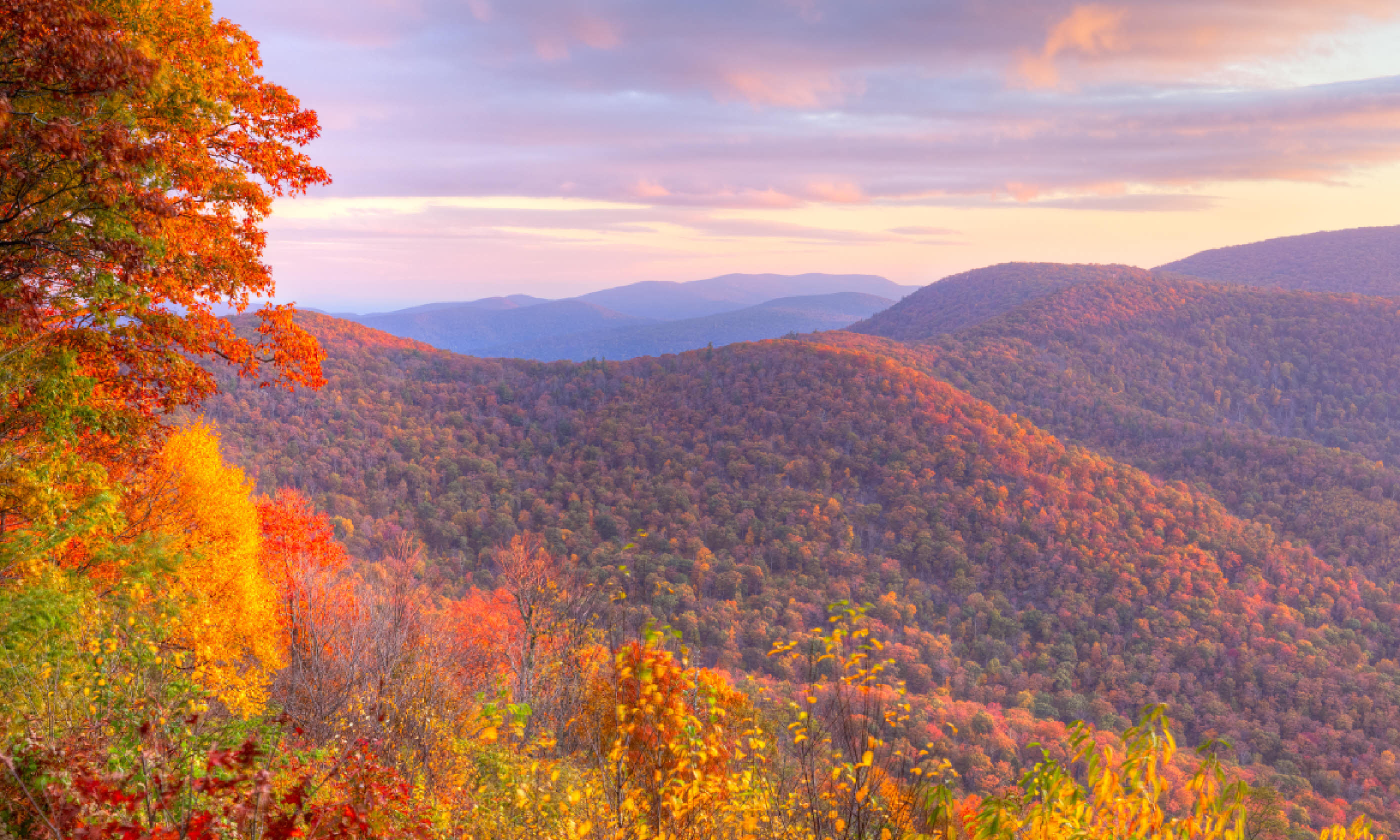 Shenandoah National Park (Shutterstock)