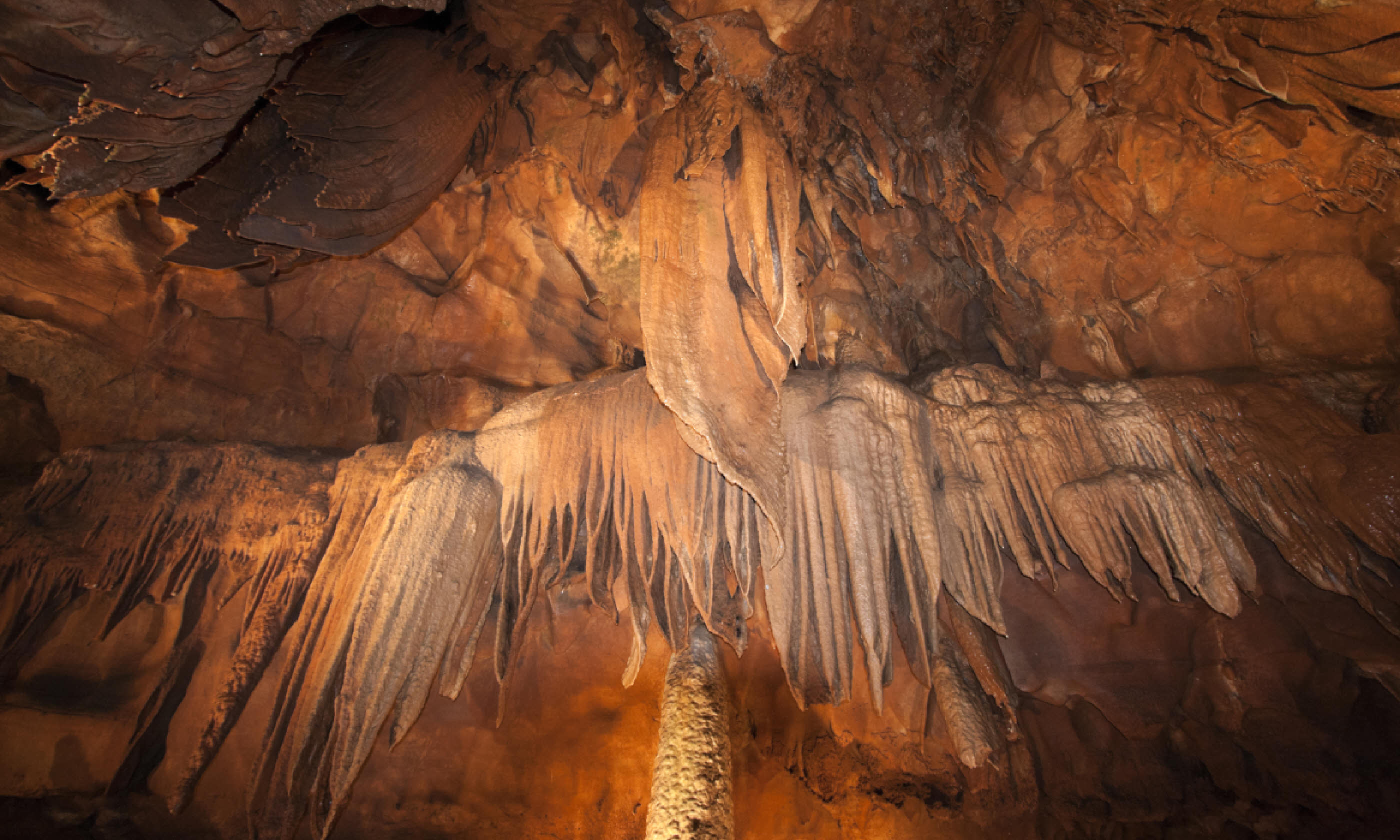 Mammoth Cave National Park (Dreamstime)