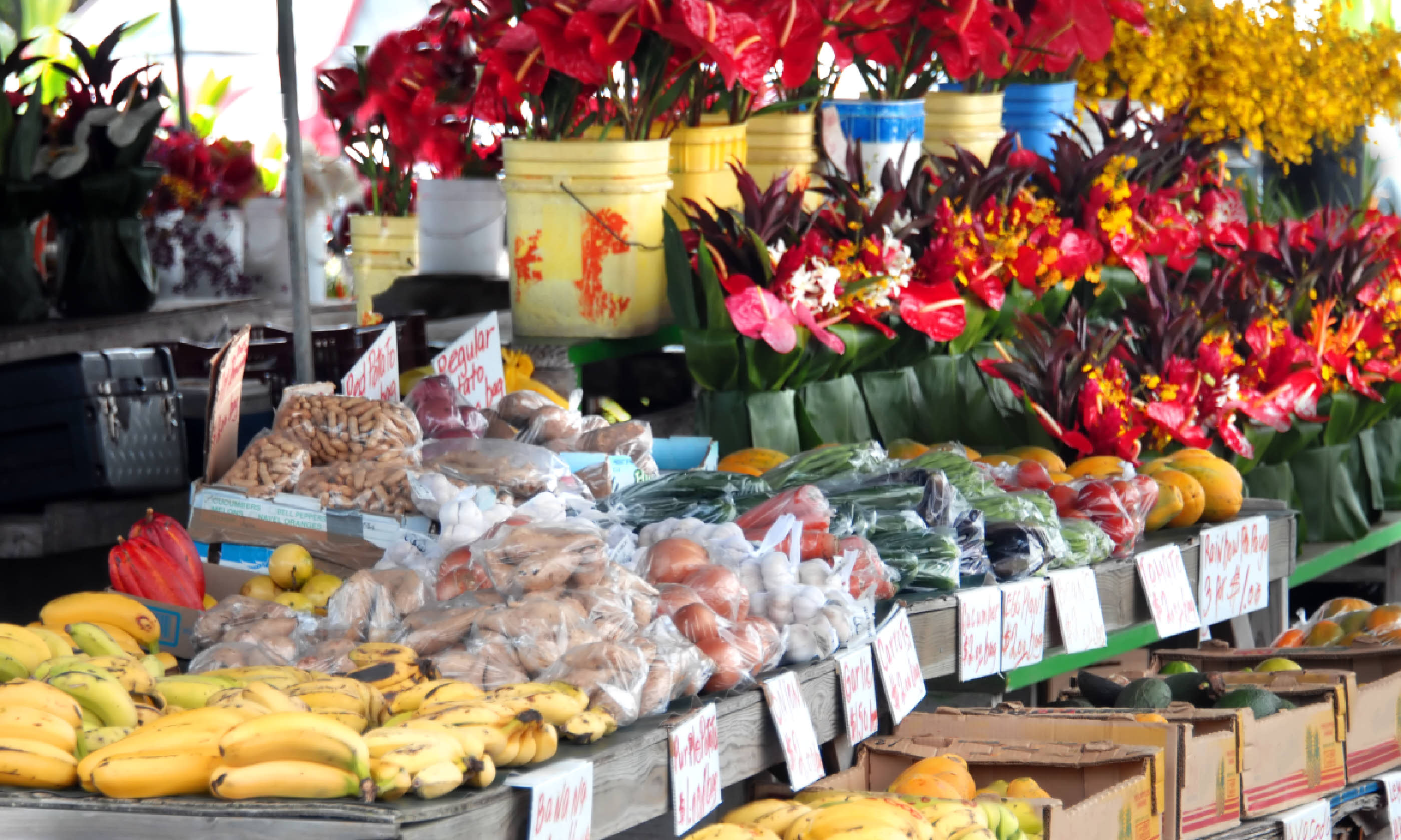 Hilo's Farmer's Market (Shutterstock)