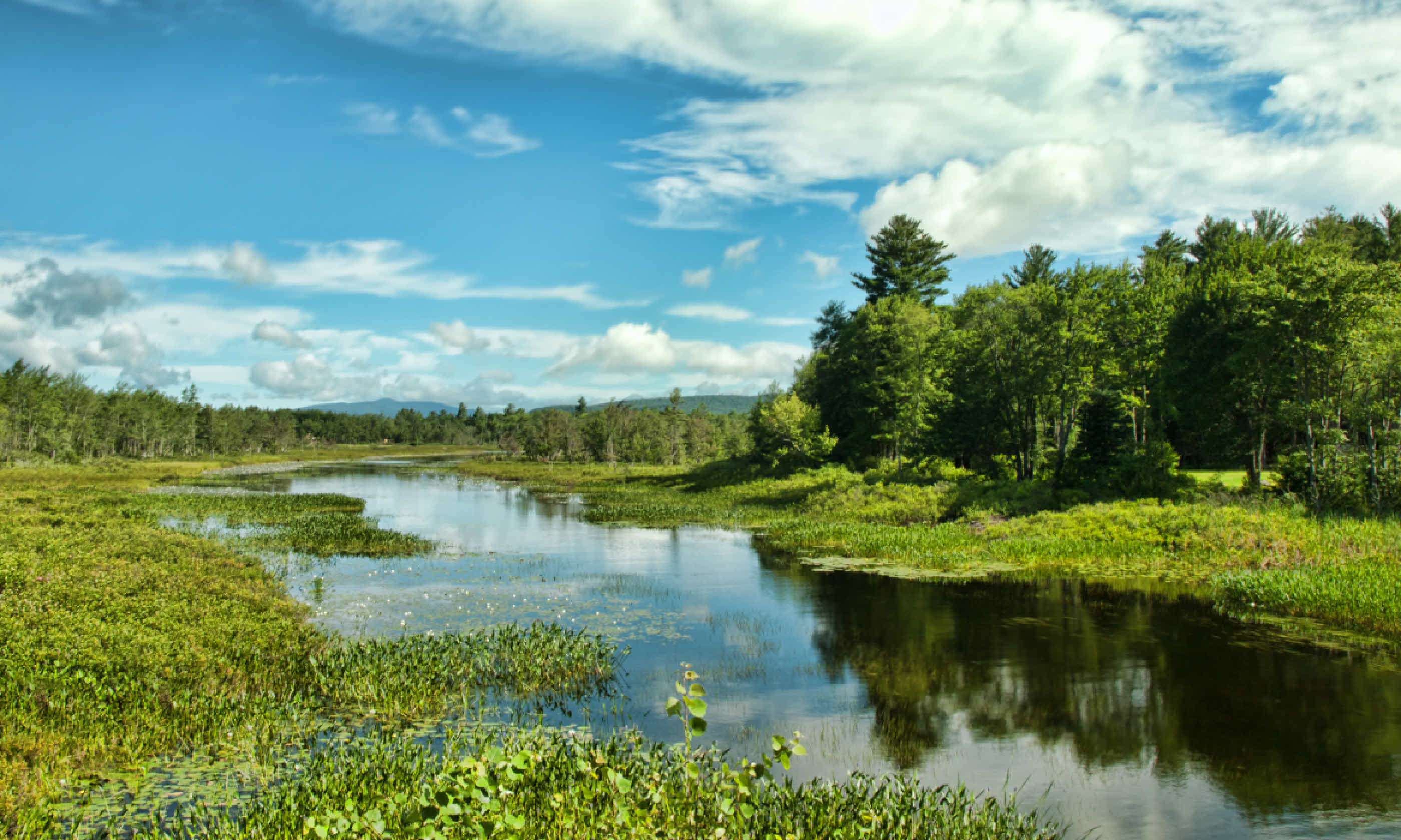 Adirondack State Park (Shutterstock)