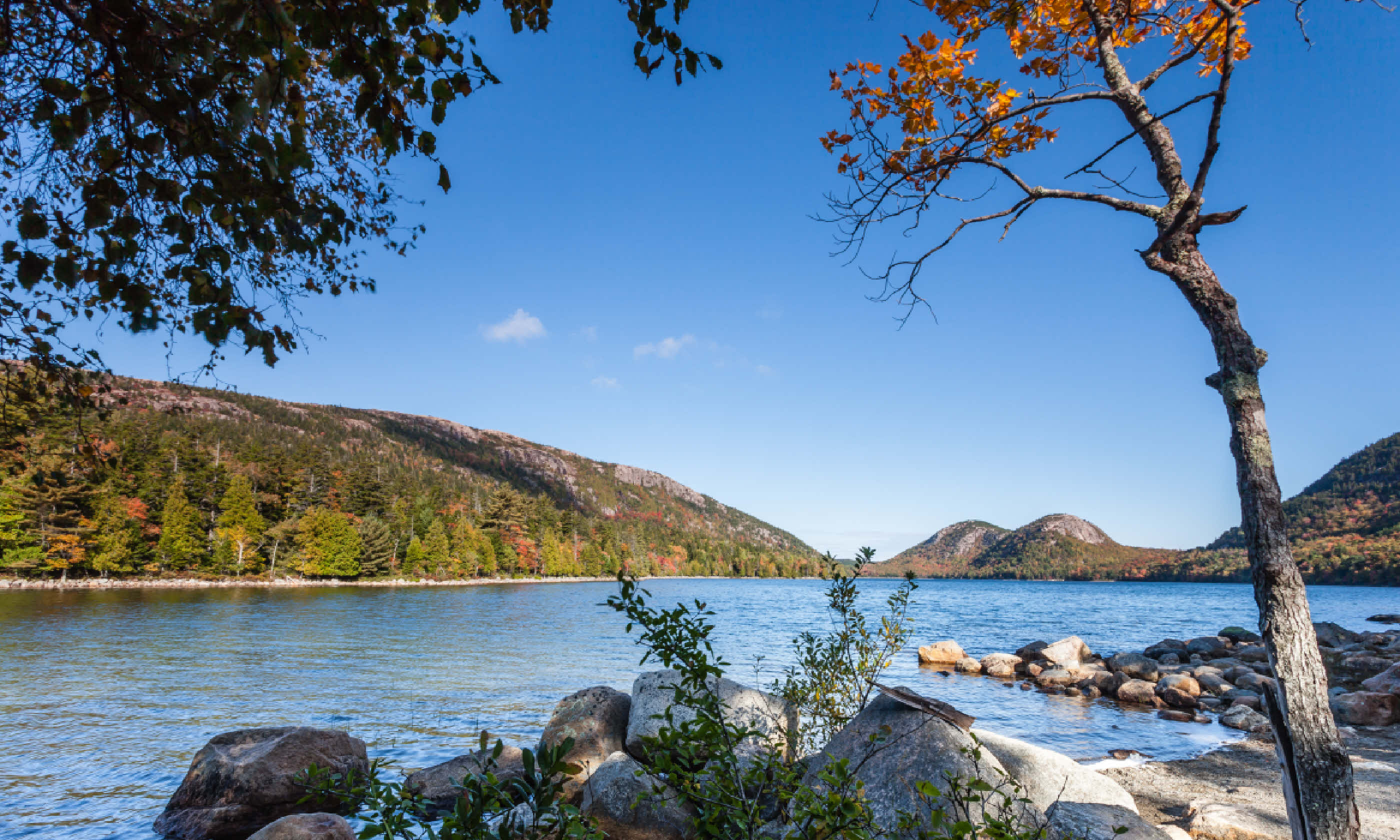 Acadia National Park, Maine (Shutterstock)